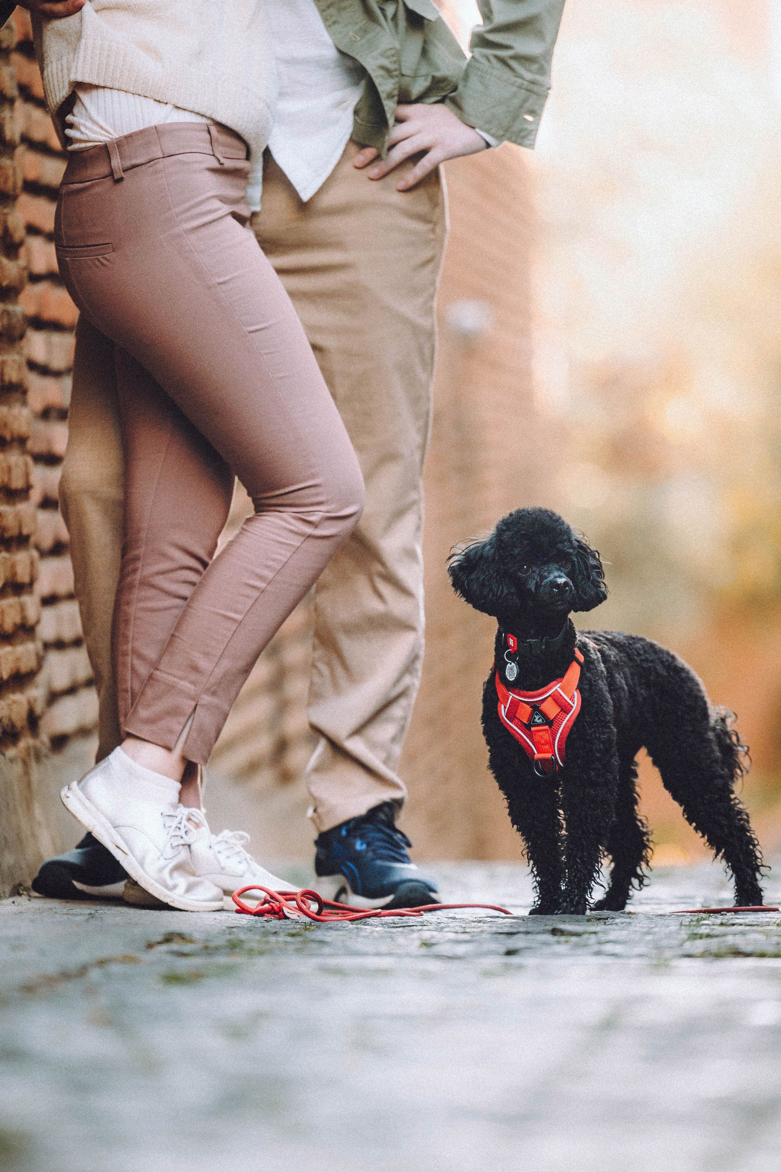 Игнат, Даша и Бэтти