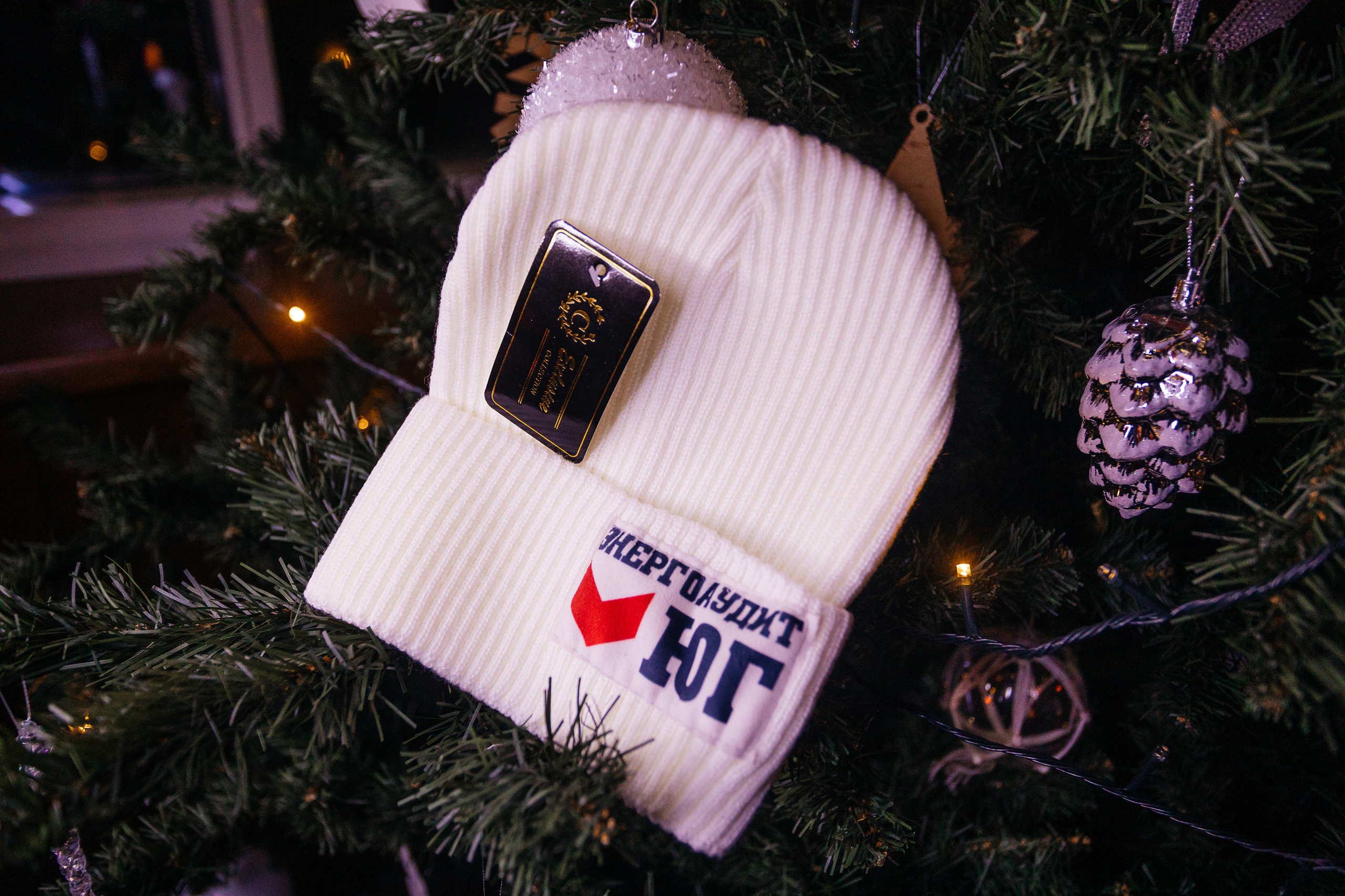 Новогодний корпоратив компания «ЭнергоАудит Юг». Организатор Романова Любовь