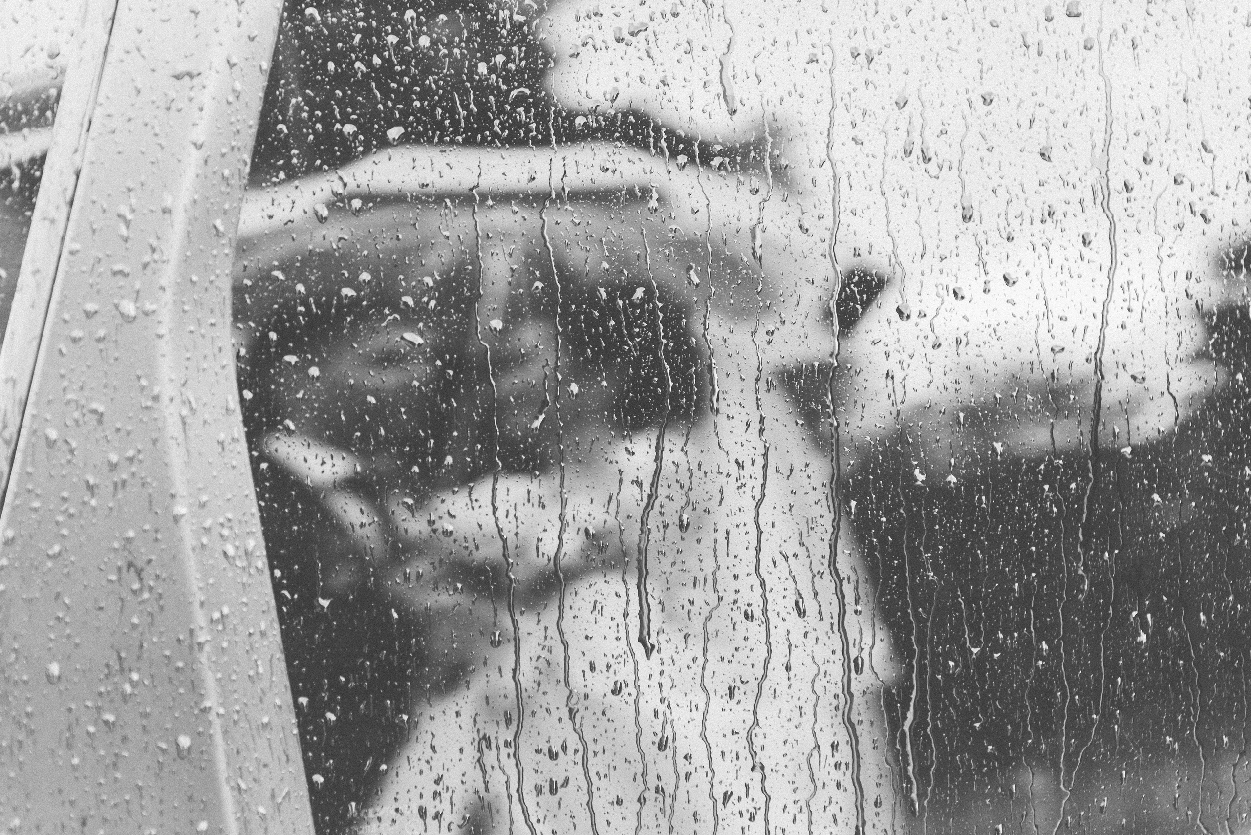 Свадьба для любителей ч/б фото. Артем и Айна. Свадебный и семейный фотограф София Невская