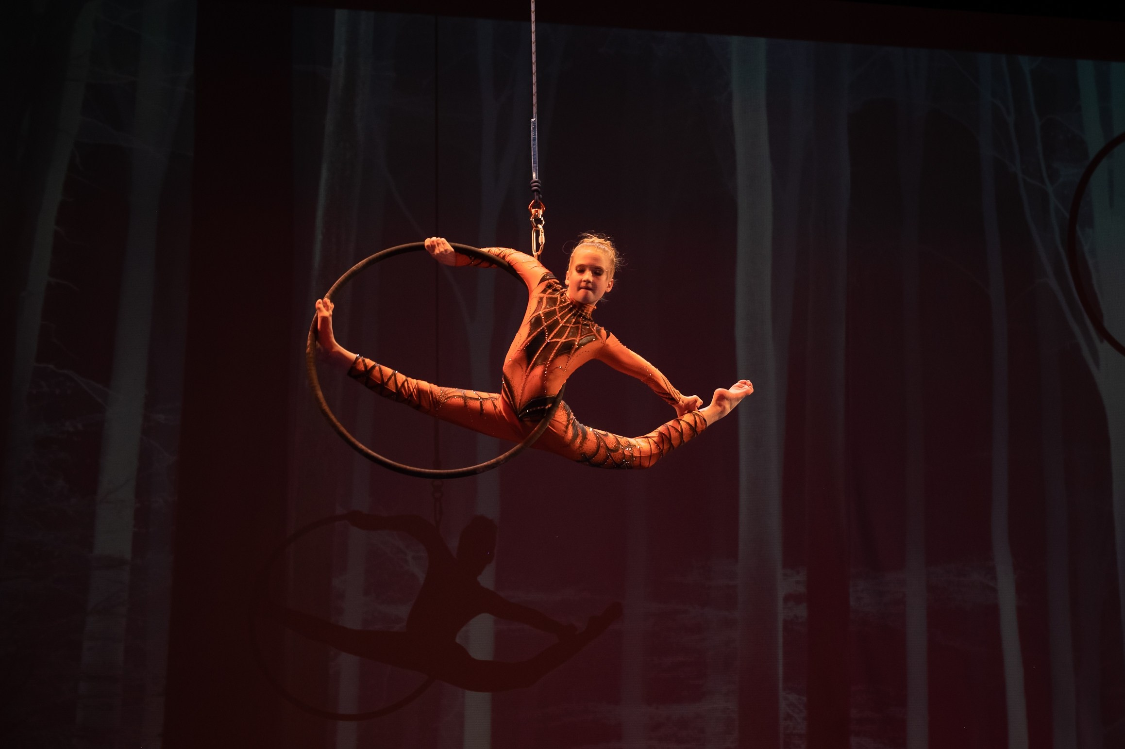 Отчетное выступление студии воздушной гимнастики Sport Evolution. Свадебный и семейный фотограф София Невская