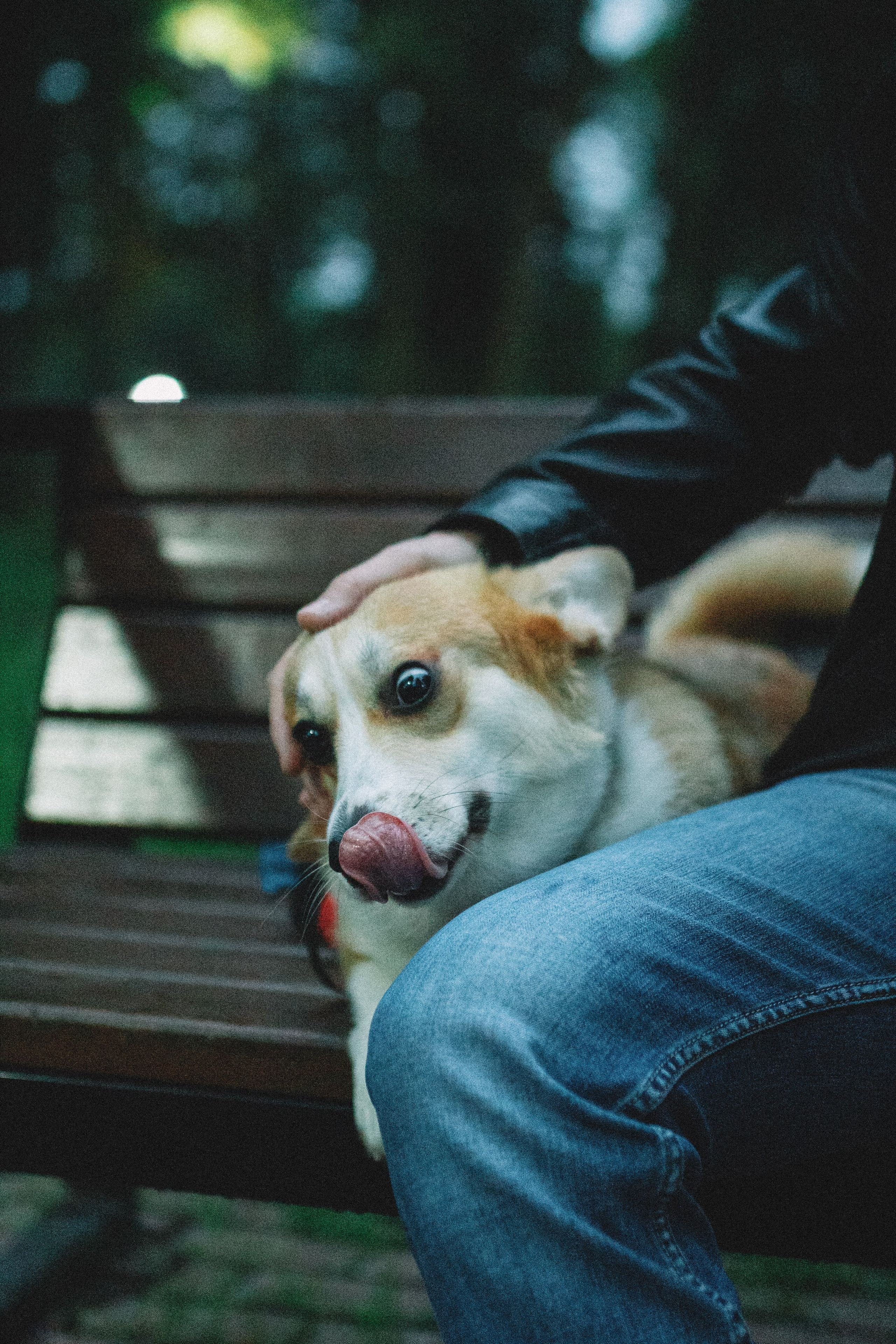 Георгий. Ph.nataluuna ФОТОГРАФ СЕРГИЕВ ПОСАД