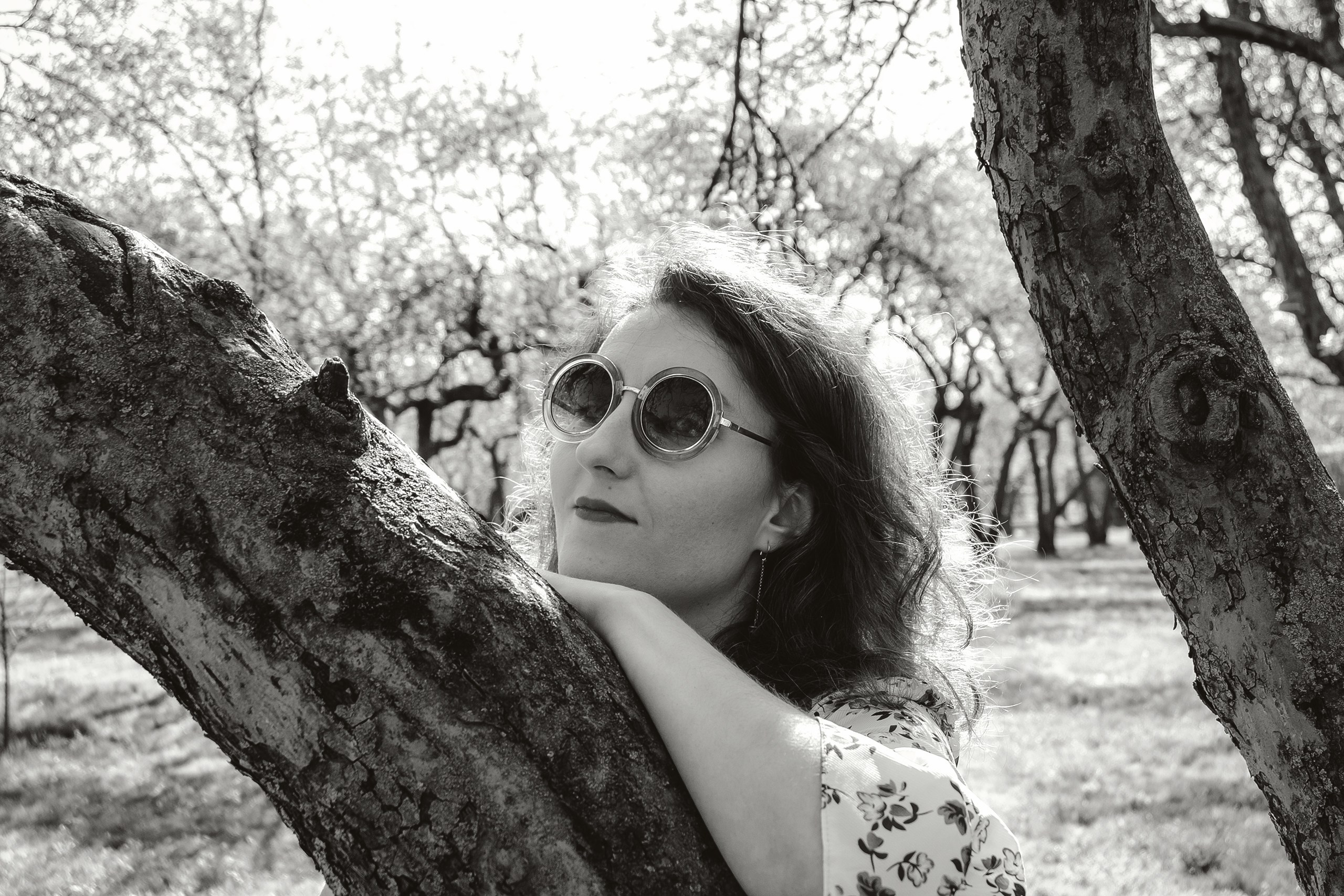 Once Upon A Time In Bloom