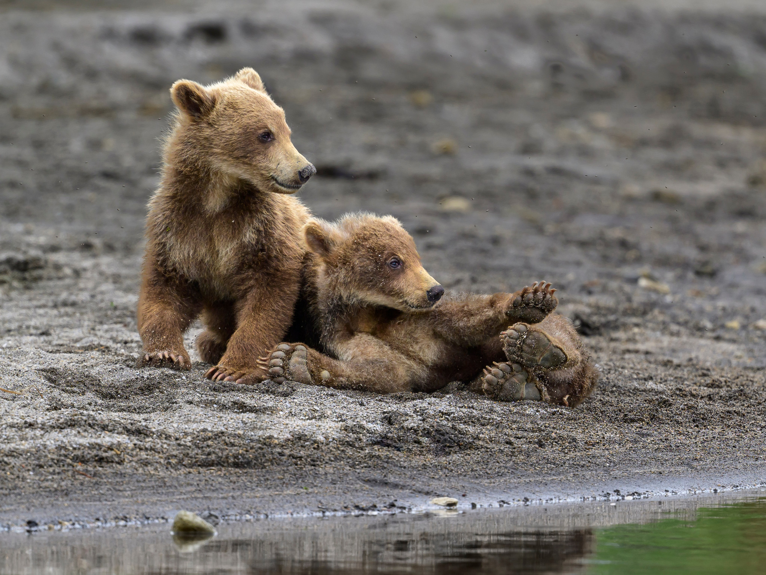 Фотограф Сергей Пупонин
