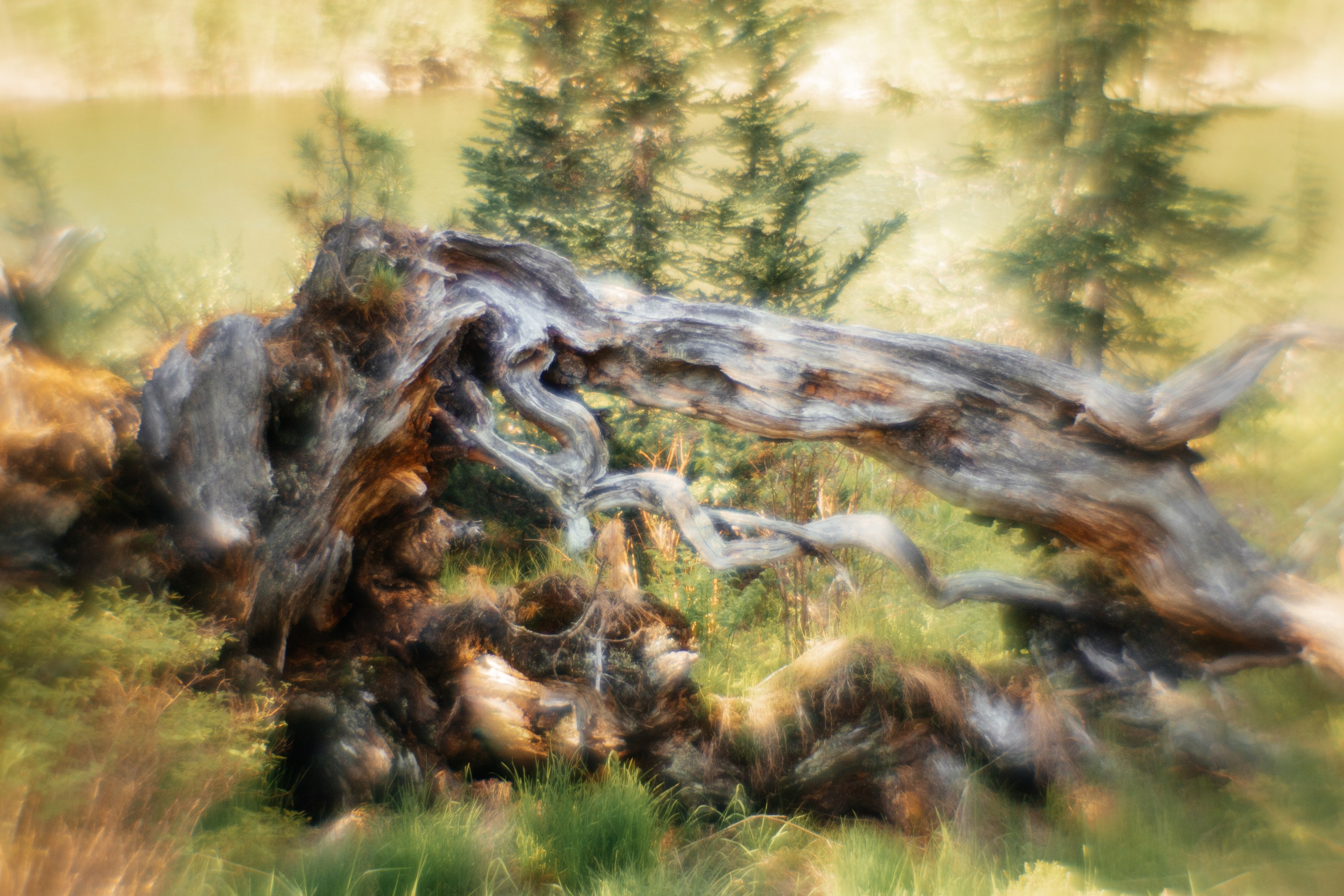 Ловец снов. Фотограф в Красноярске Оксана Корчагина