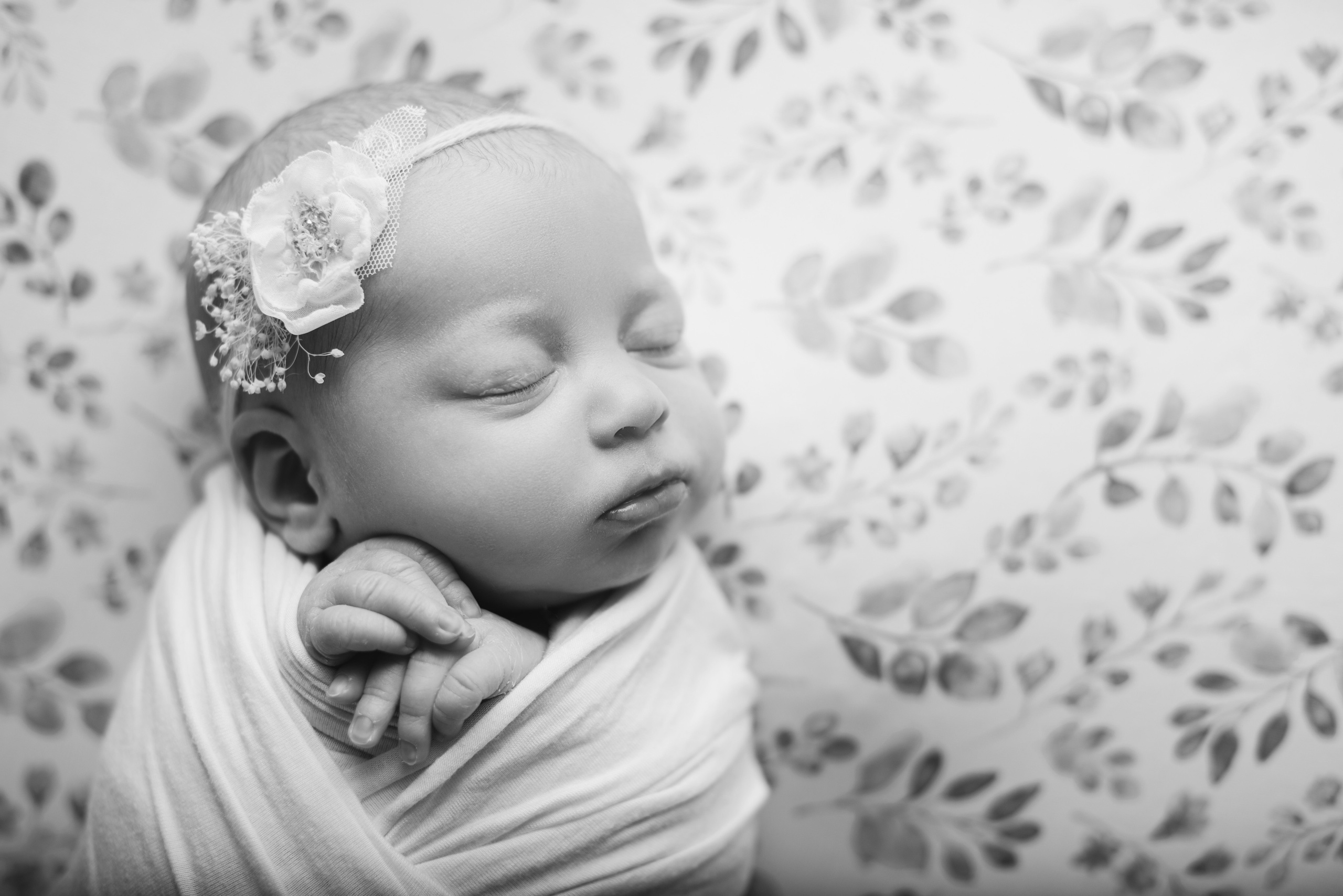 Новорожденные. Фотограф Новорожденных во Владивостоке Ольга Галаницкая