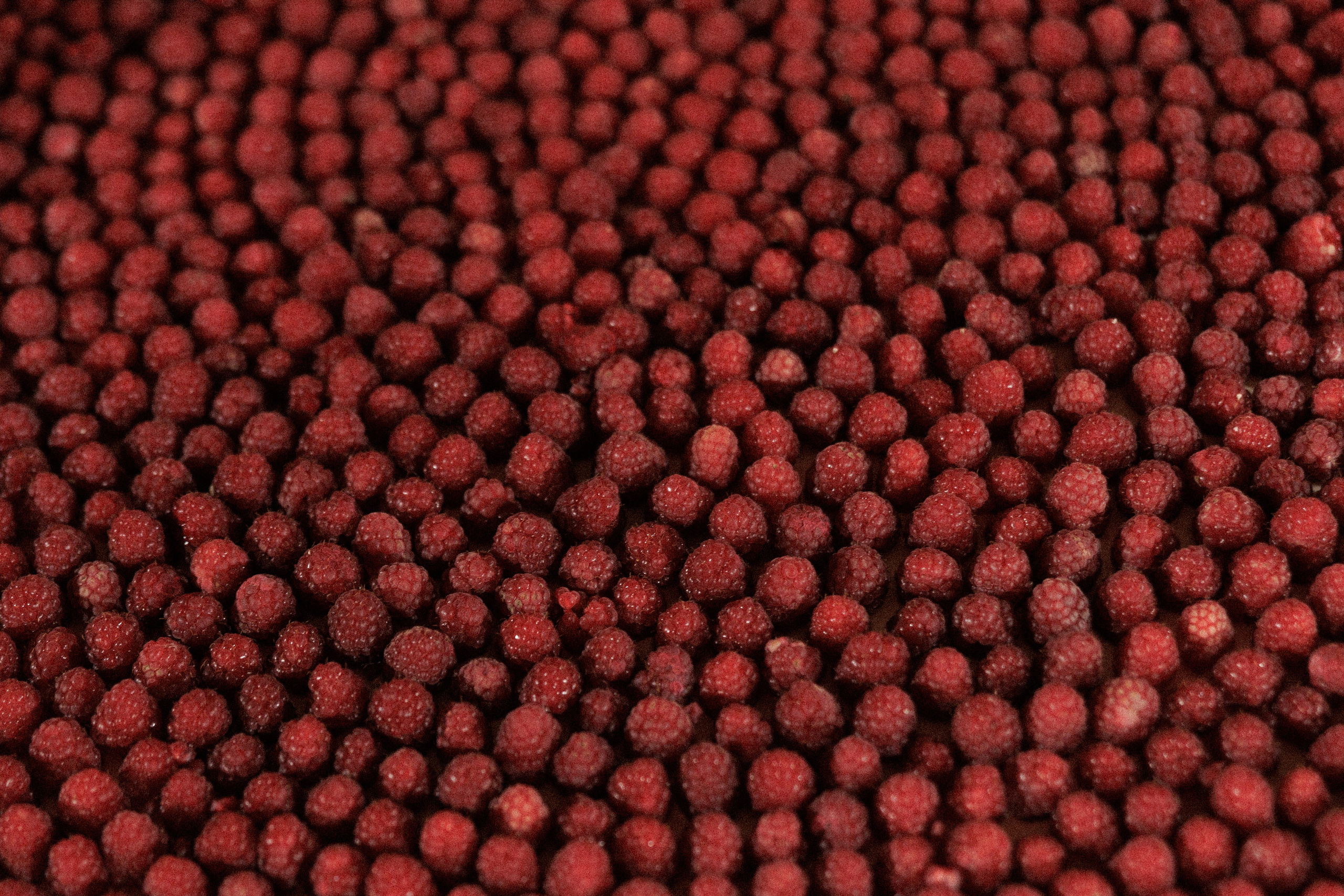 V & A. Свадебный и event-фотограф Иван Волнухин