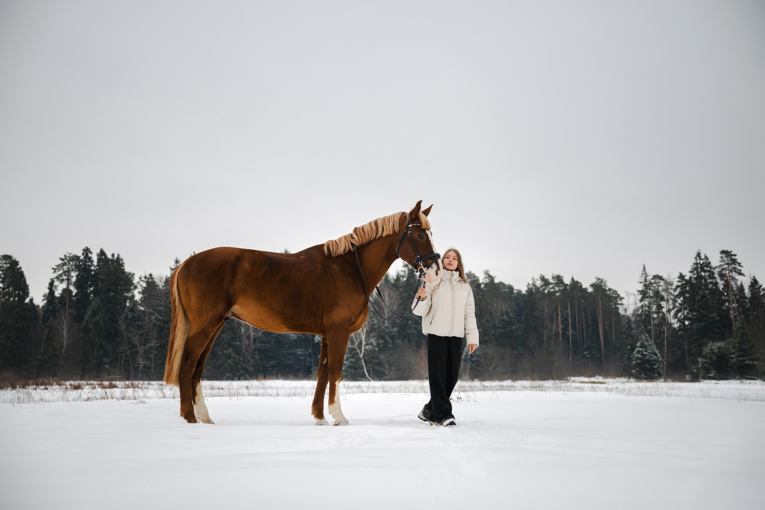 Виктория и Лео. Фотограф Анималист в Москве Анастасия Жучкова