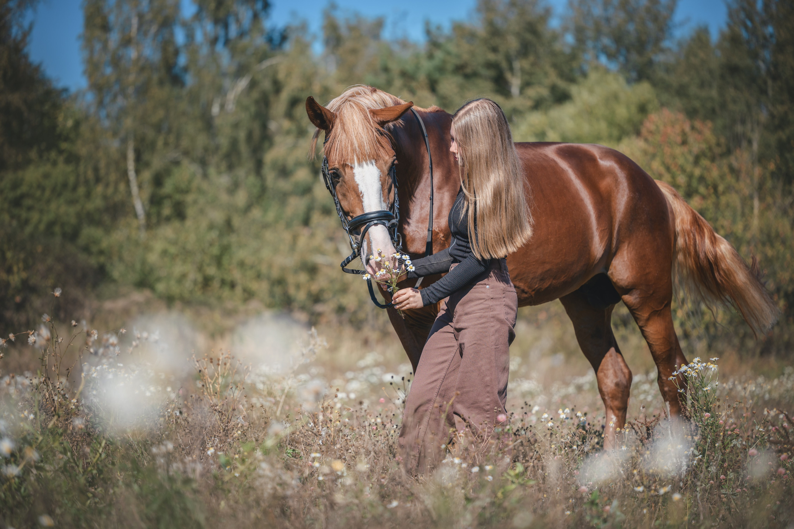 Виктория и Лео. Фотограф Анималист в Москве Анастасия Жучкова