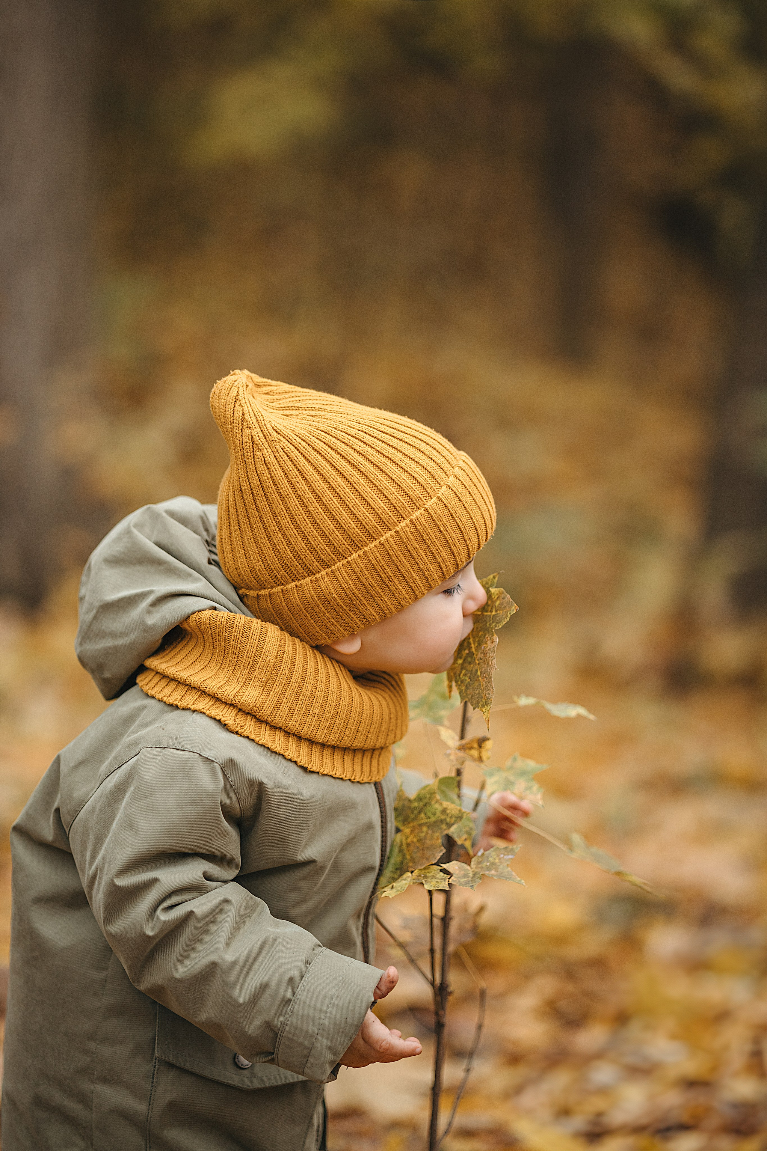 Осень в Нескучном саду (в обработке). Фотограф Анималист в Москве Анастасия Жучкова