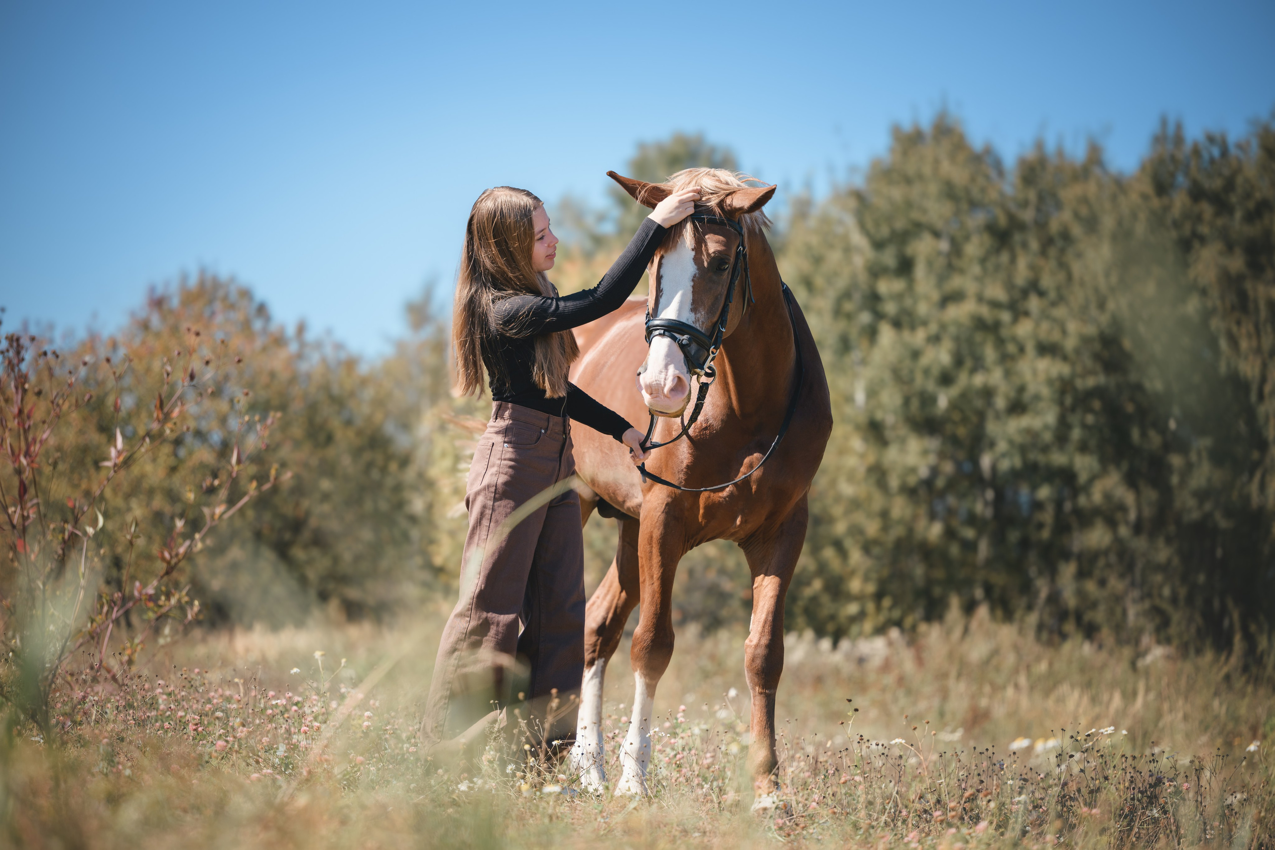 Виктория и Лео. Фотограф Анималист в Москве Анастасия Жучкова