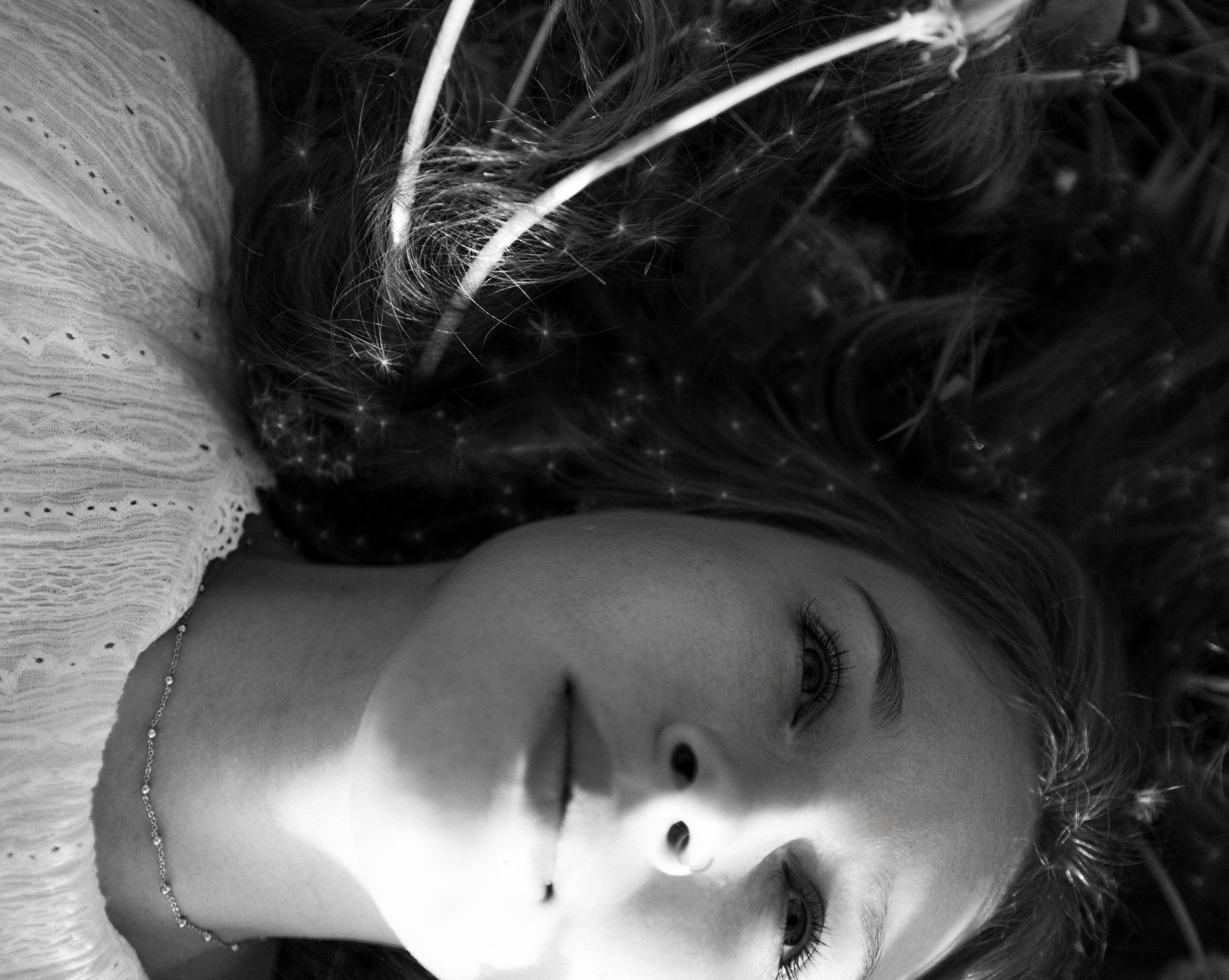 Одуванчики…. FotoTanya. Раменское/Жуковский/Бронницы