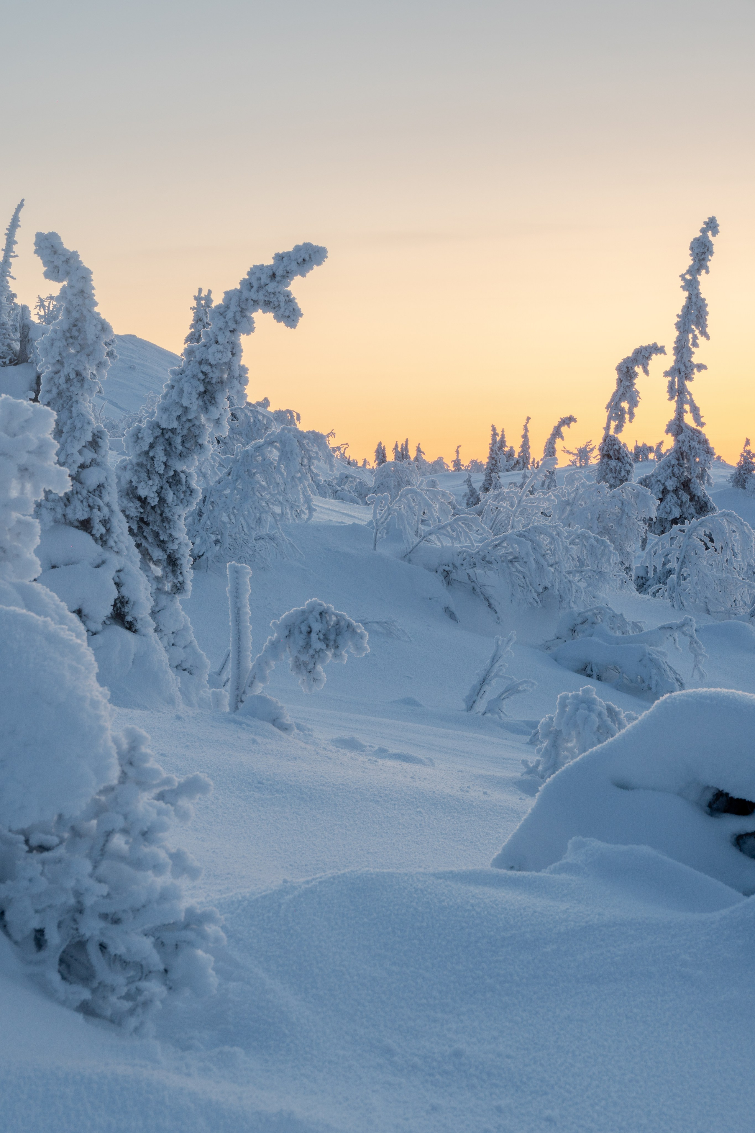 Зима на Кольском полуострове. Daria wanderer photography