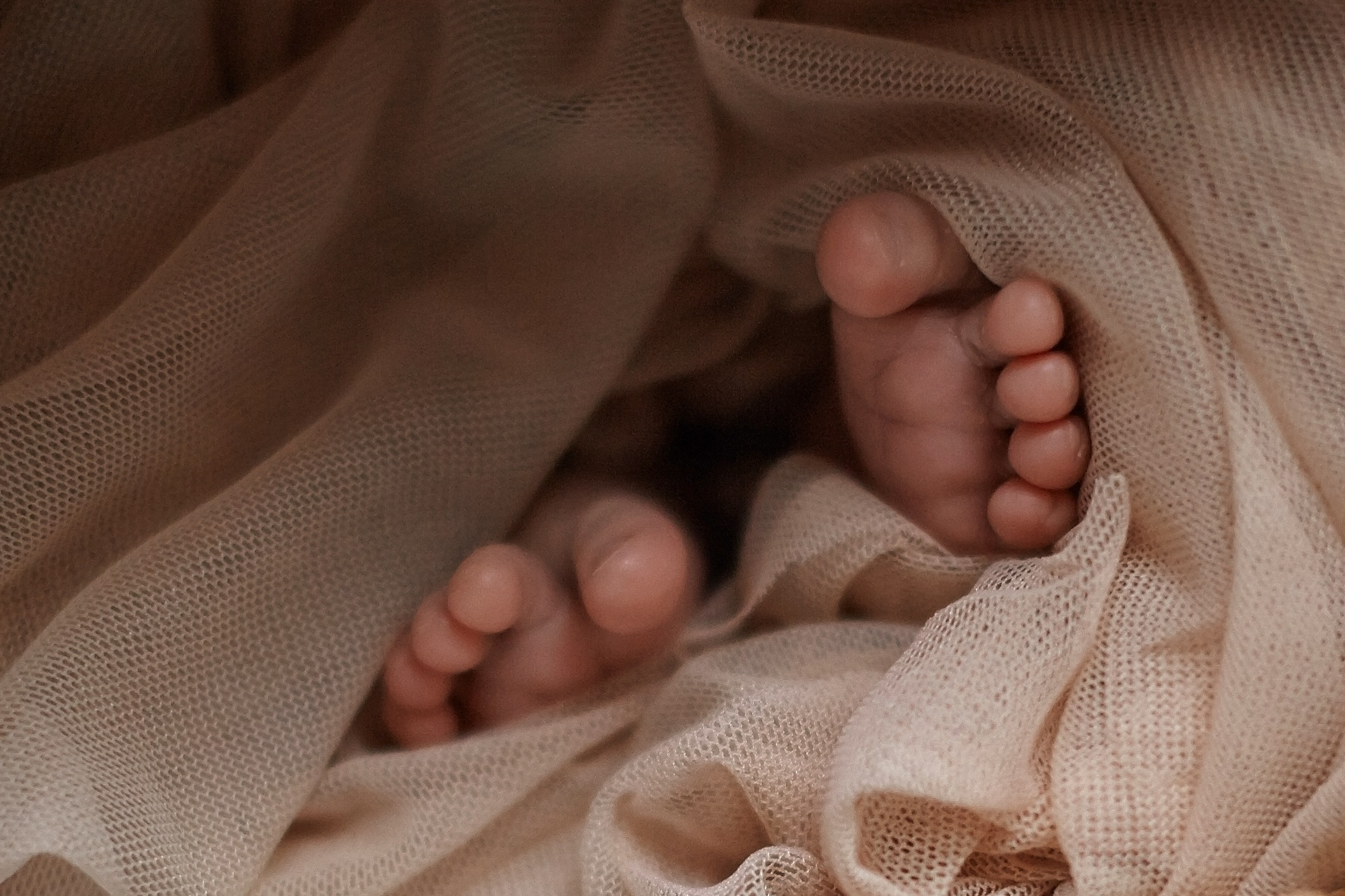 Есения. Фотограф Ольга Ефремова