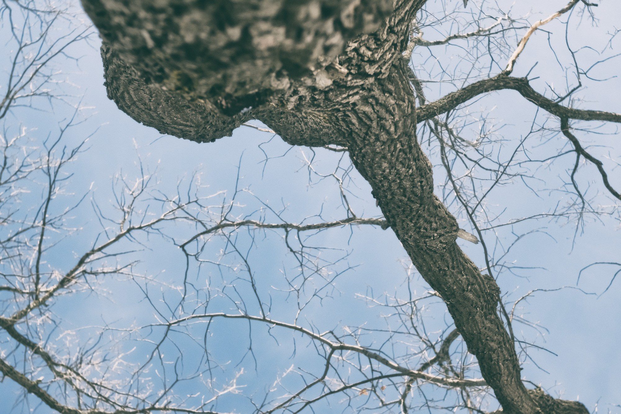 Фотограф Константин Ясинский