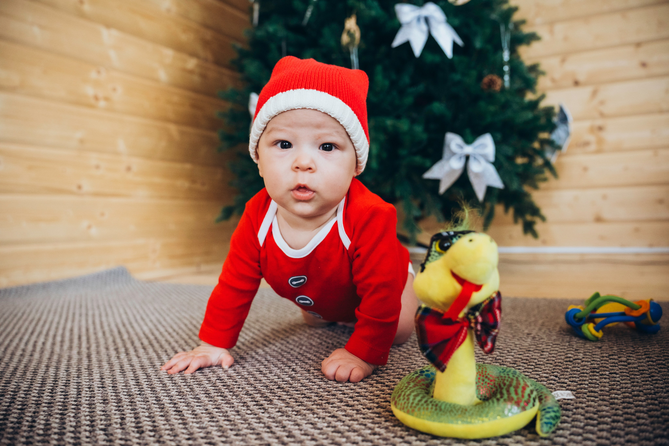 Домашняя фотосессия