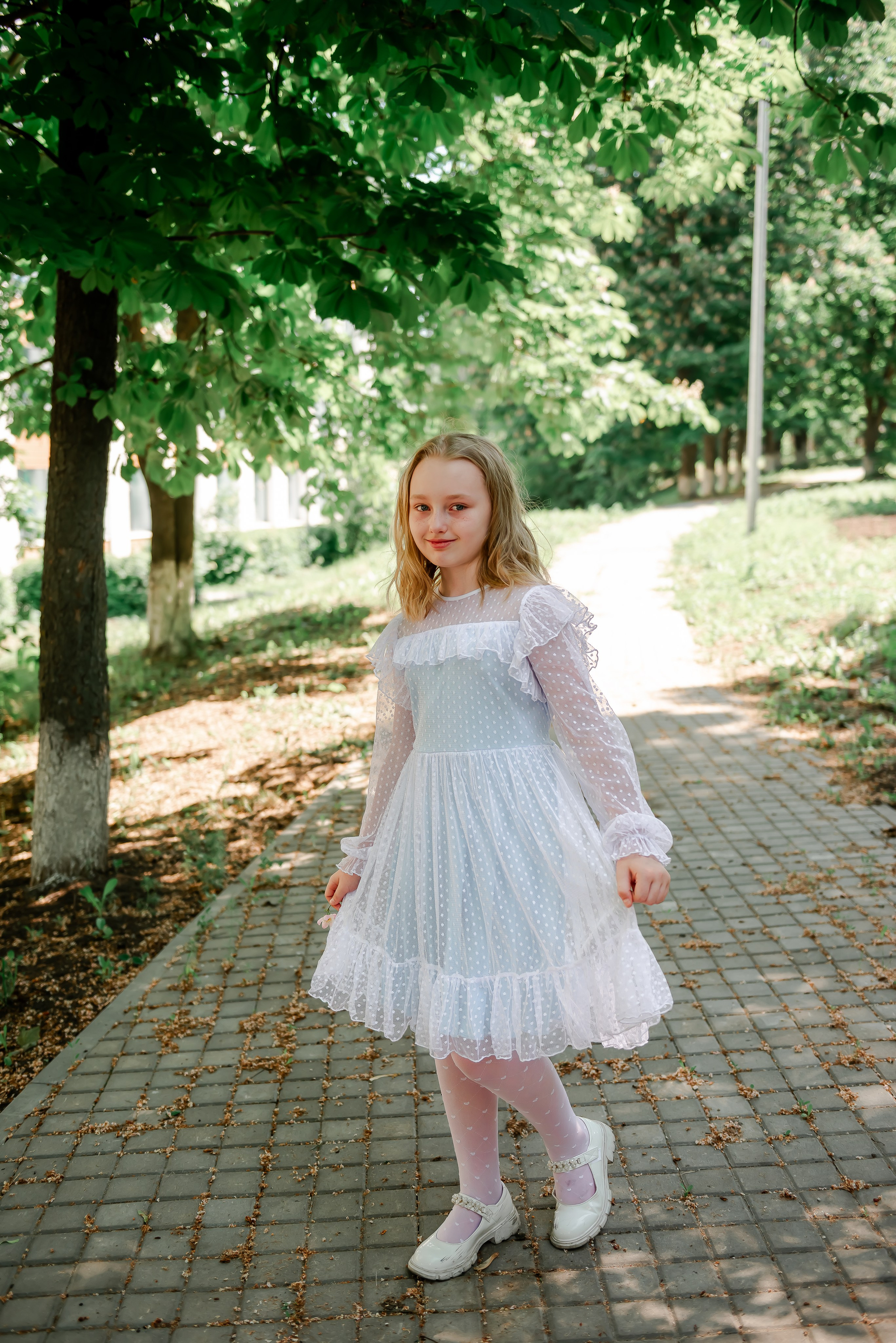 4 «Б» |г.Белгород |31 школа|2024-2025. ALBUMIA