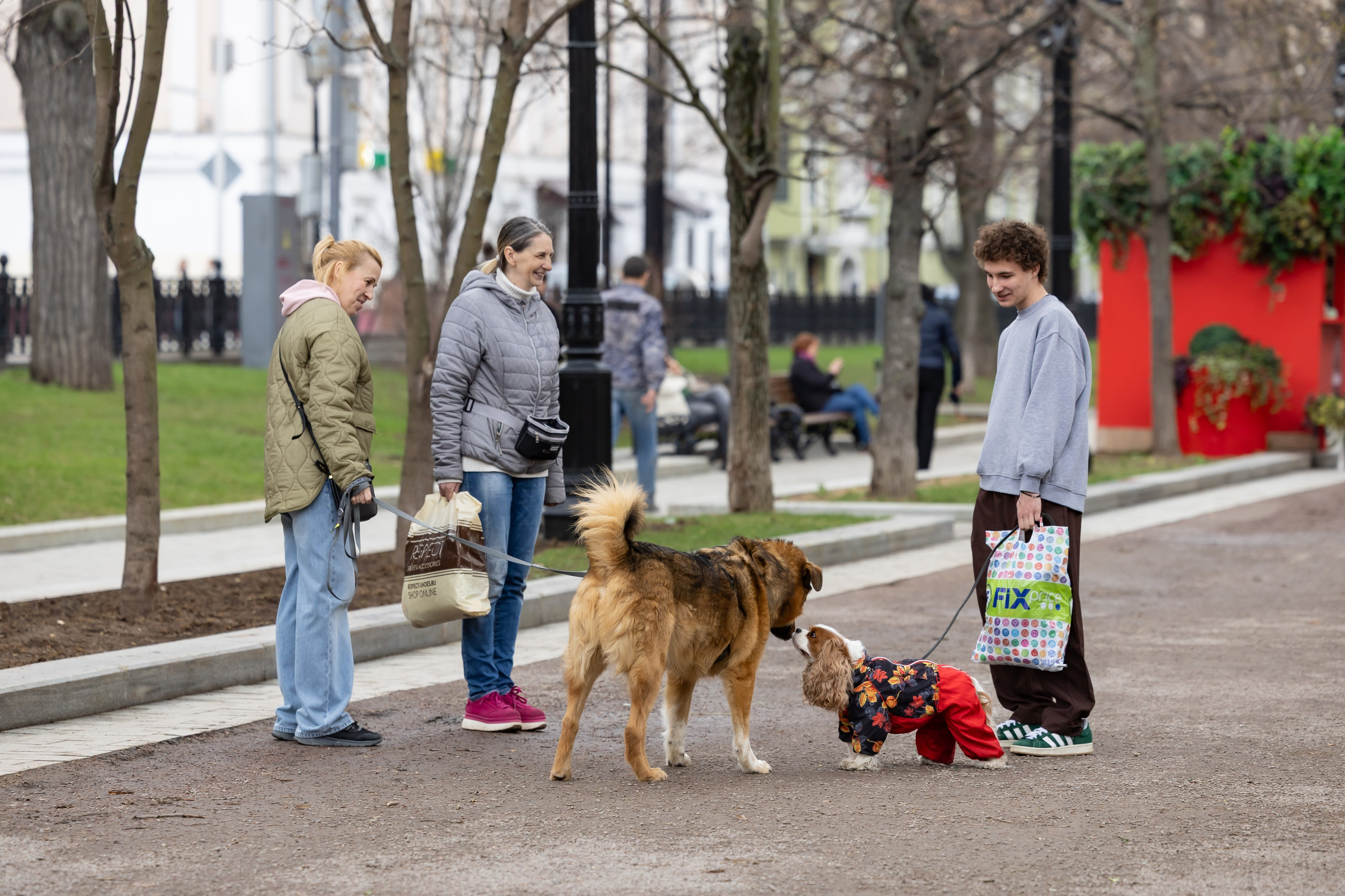 Проект «Моспитомец» на Тверском бульваре. Фотограф Владимир Охрименко