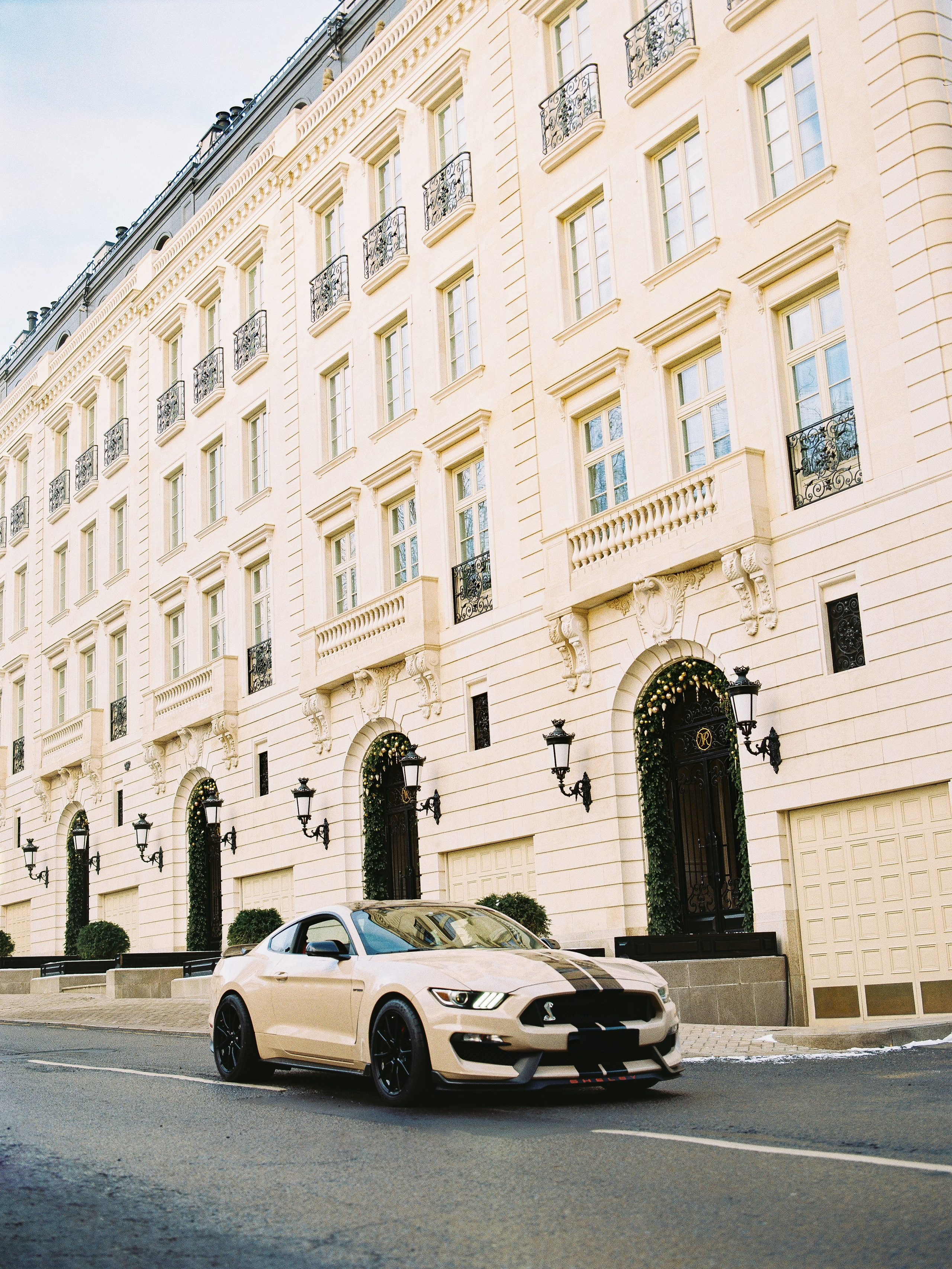 Ford Shelby. Fokysphoto