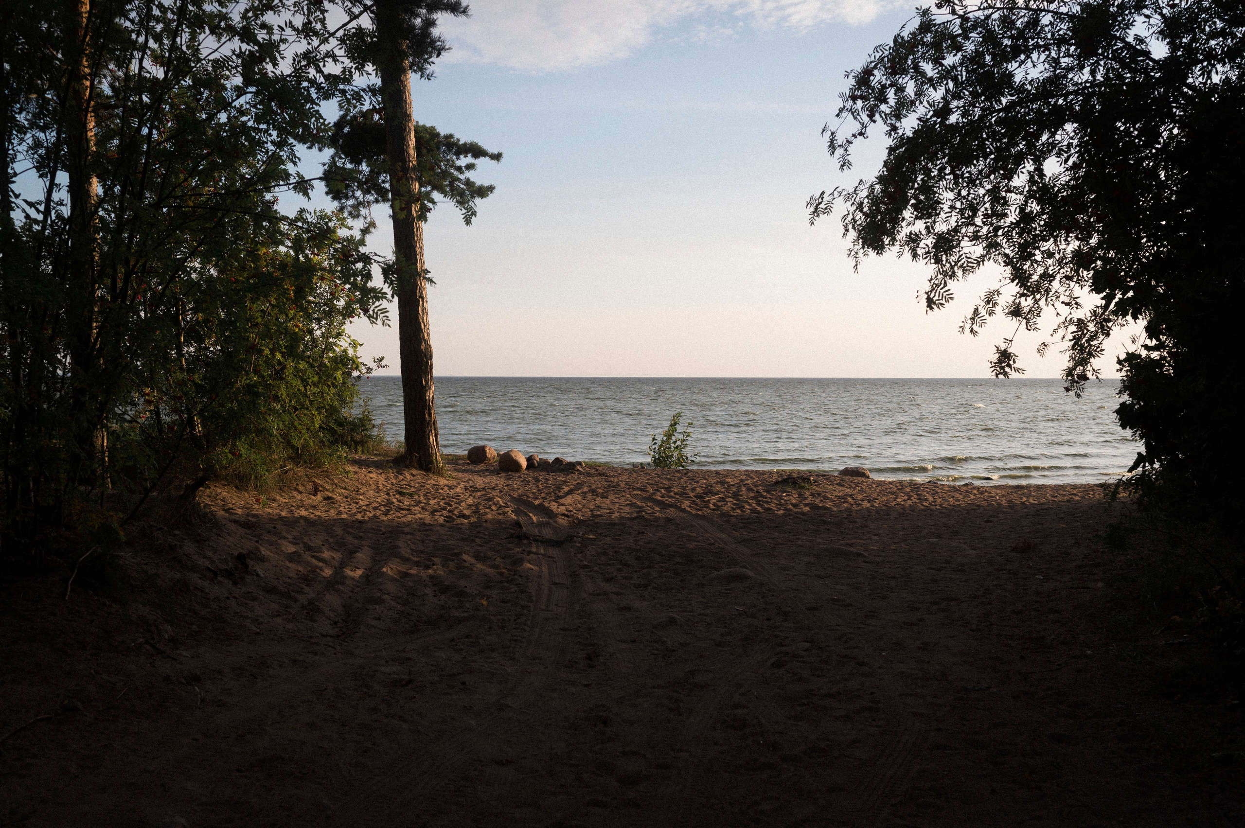 North 2024. Kartascheff