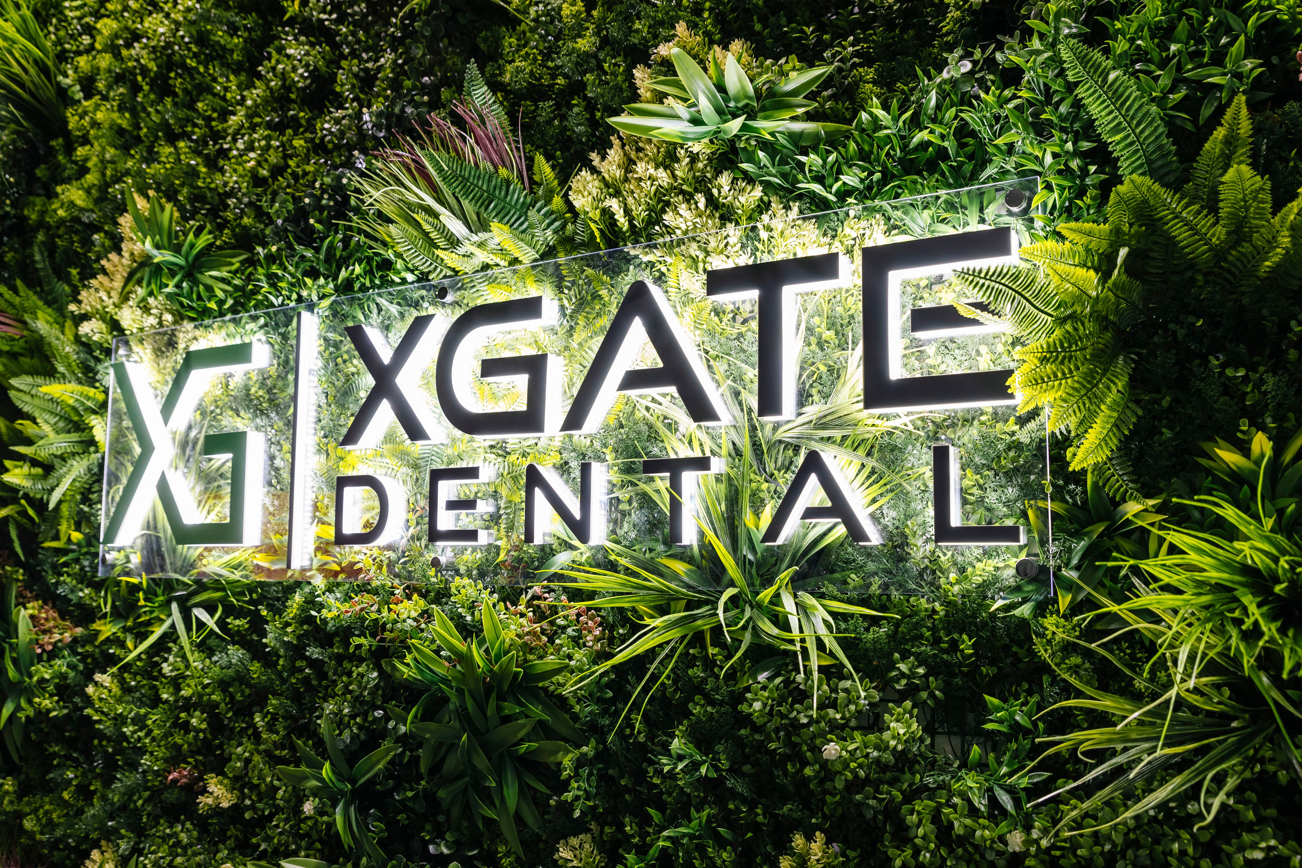 Стоматологическая выставка Dental Salon 2026. Профессиональный фотограф в Москве | Заказать фотосессию и съемку