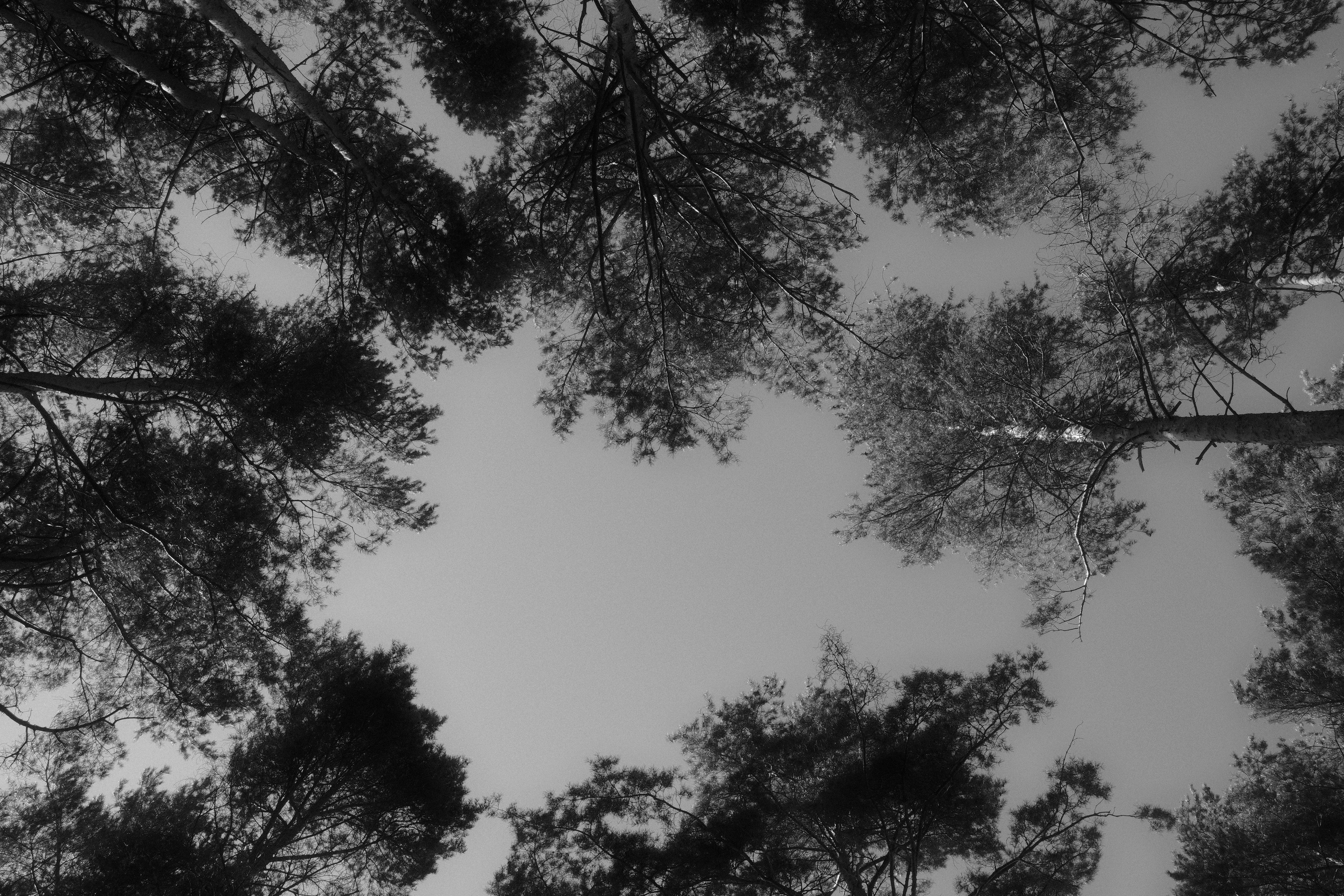 Творчество. Семейный и портретный фотограф в Минске Константин Менжинский