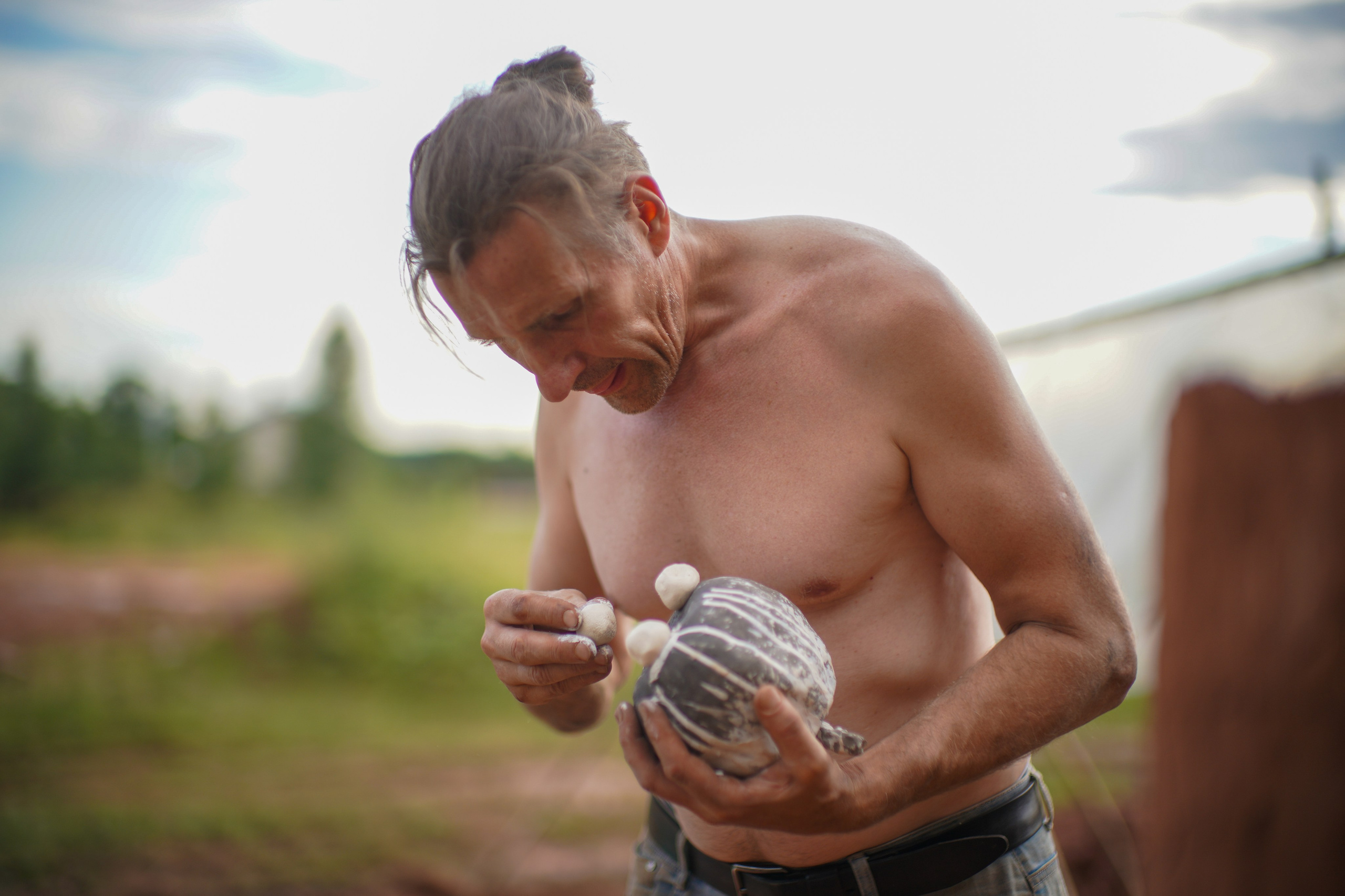 Wild fire 2024 — Дикий огонь 2024