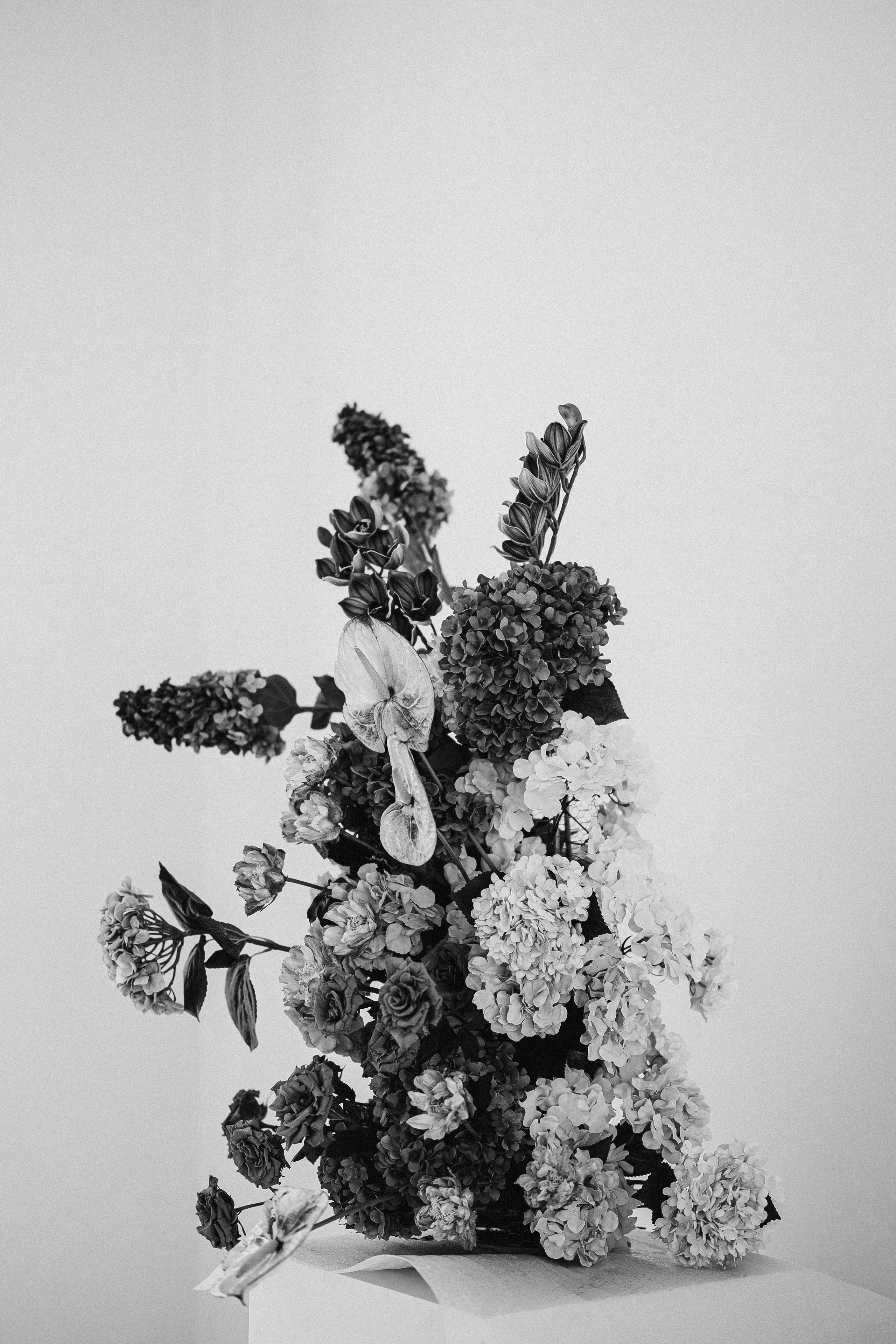 Вот это да, у меня теперь есть жена…. Daria Chigintseva Photographer