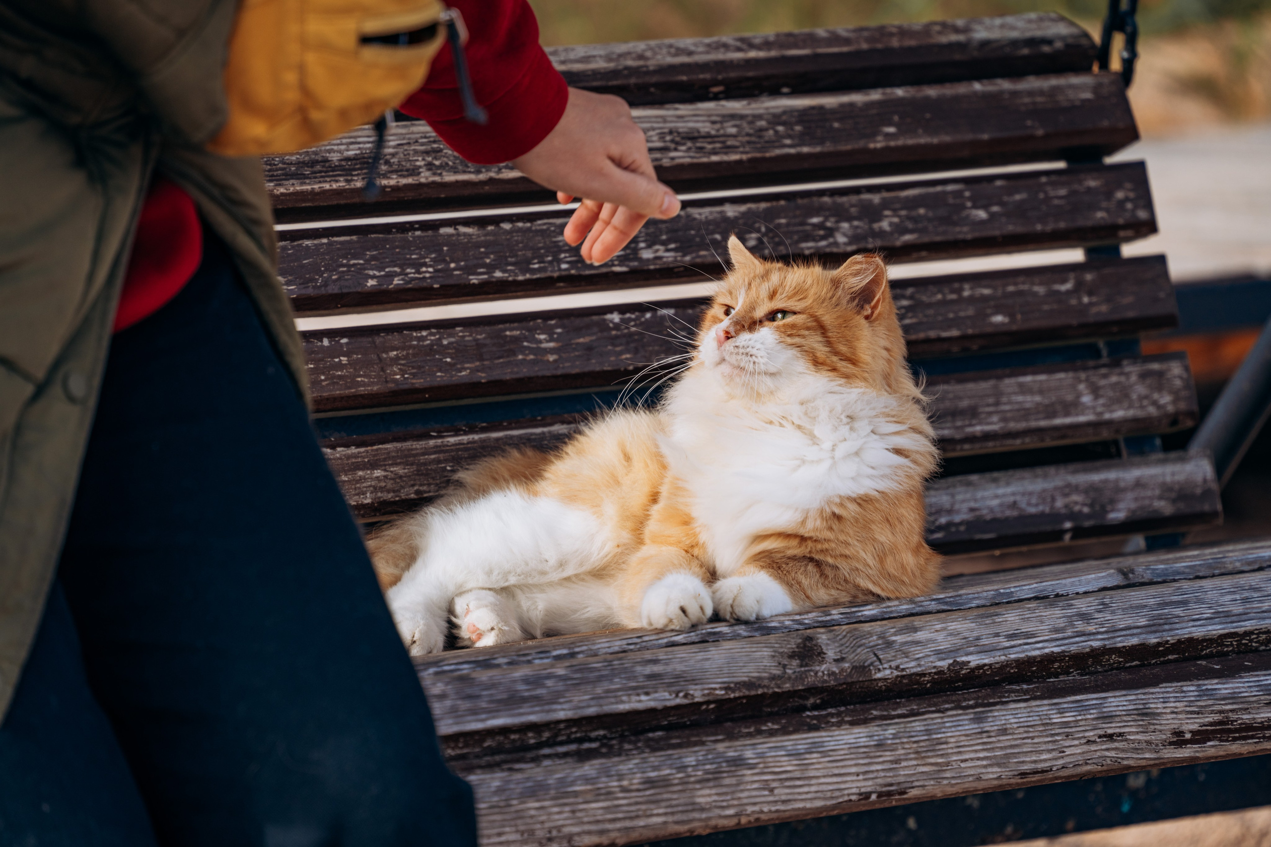 СЕВЕР. Event фотограф Степанова Александра