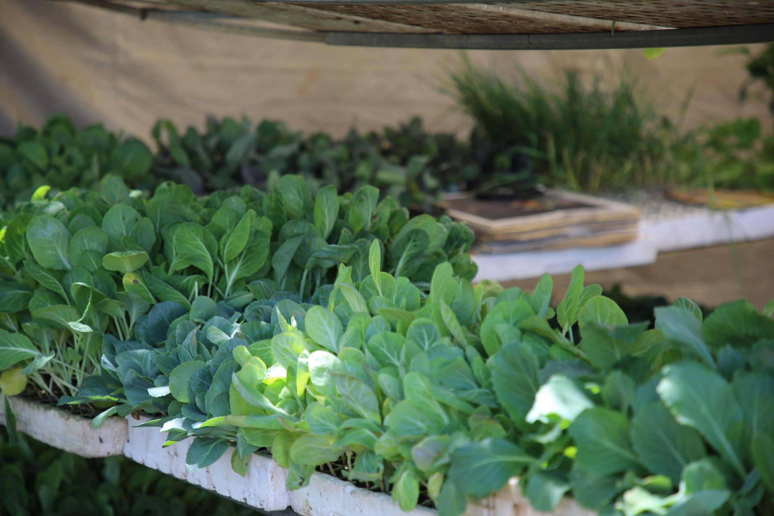 Espihnio, Portugal. Andrey Filippov Photographer