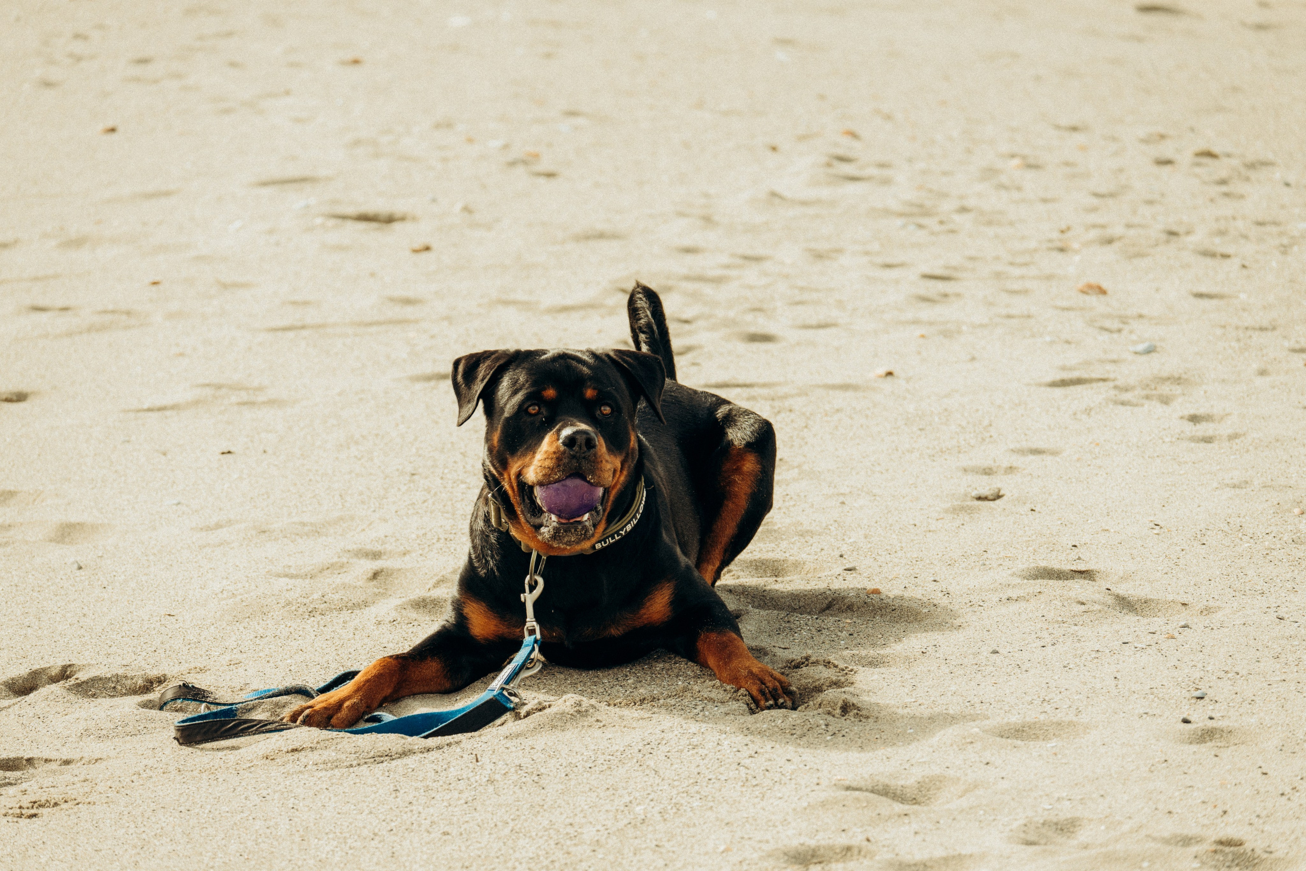 Beach. IANA VOLITSKAYA. LifeStyle Photographer in Gibraltar