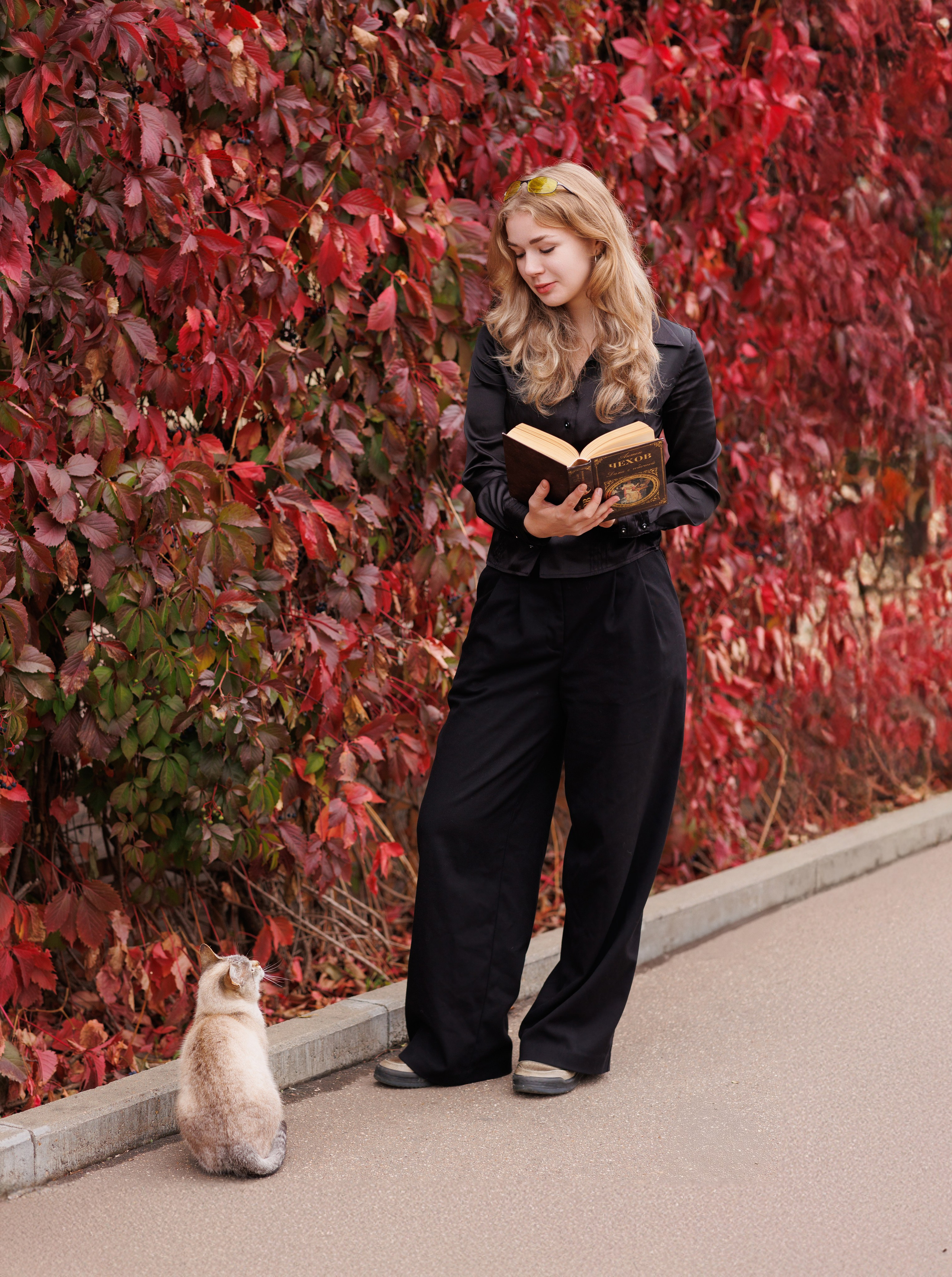 Школа 9-11 классы. Выпускные альбомы для детского сада и школы