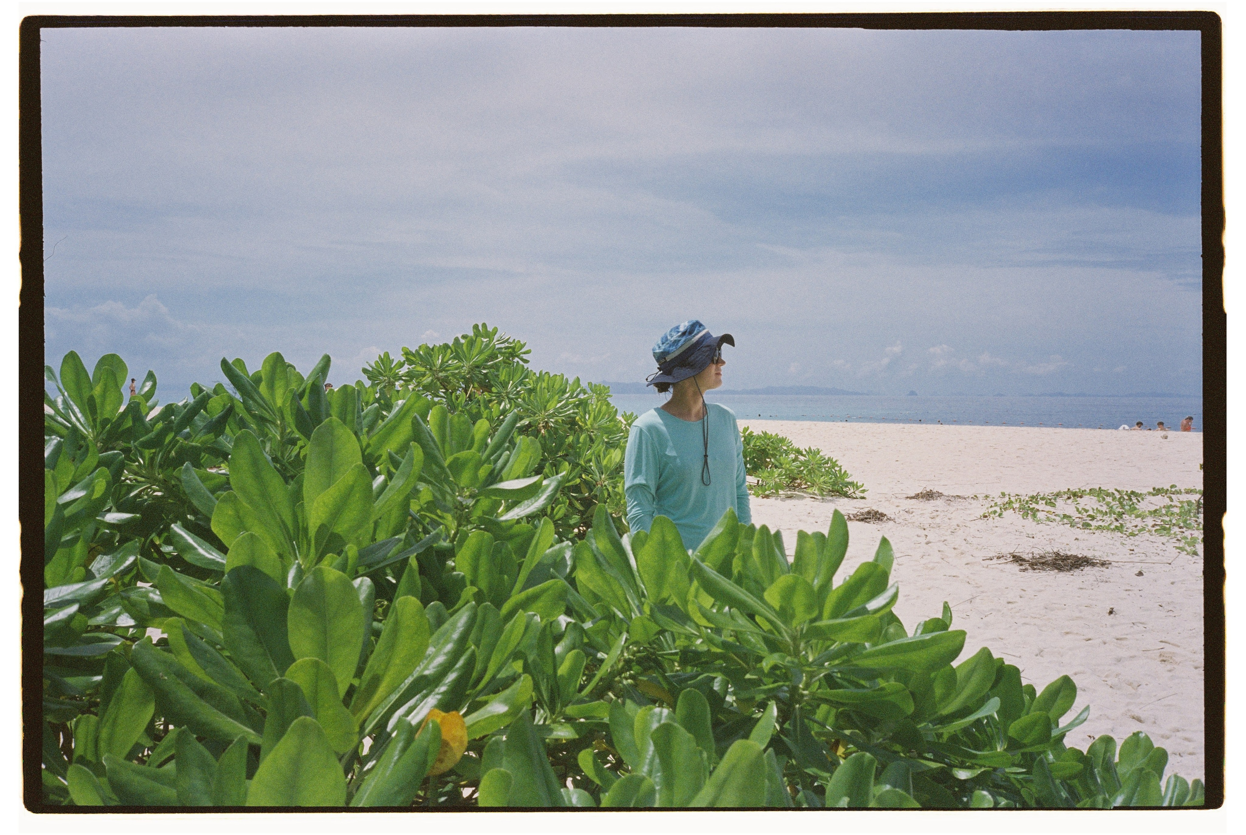 Пленка. Фотограф Андрей Куськало