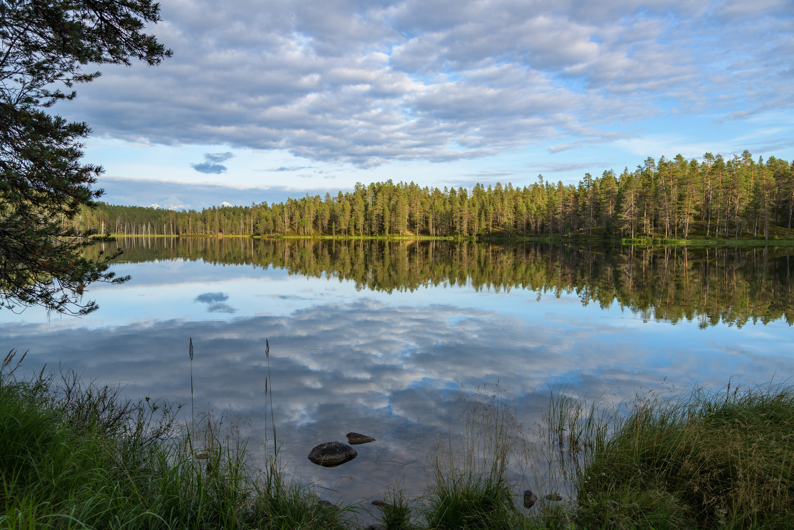 Лето. Северные Ночи