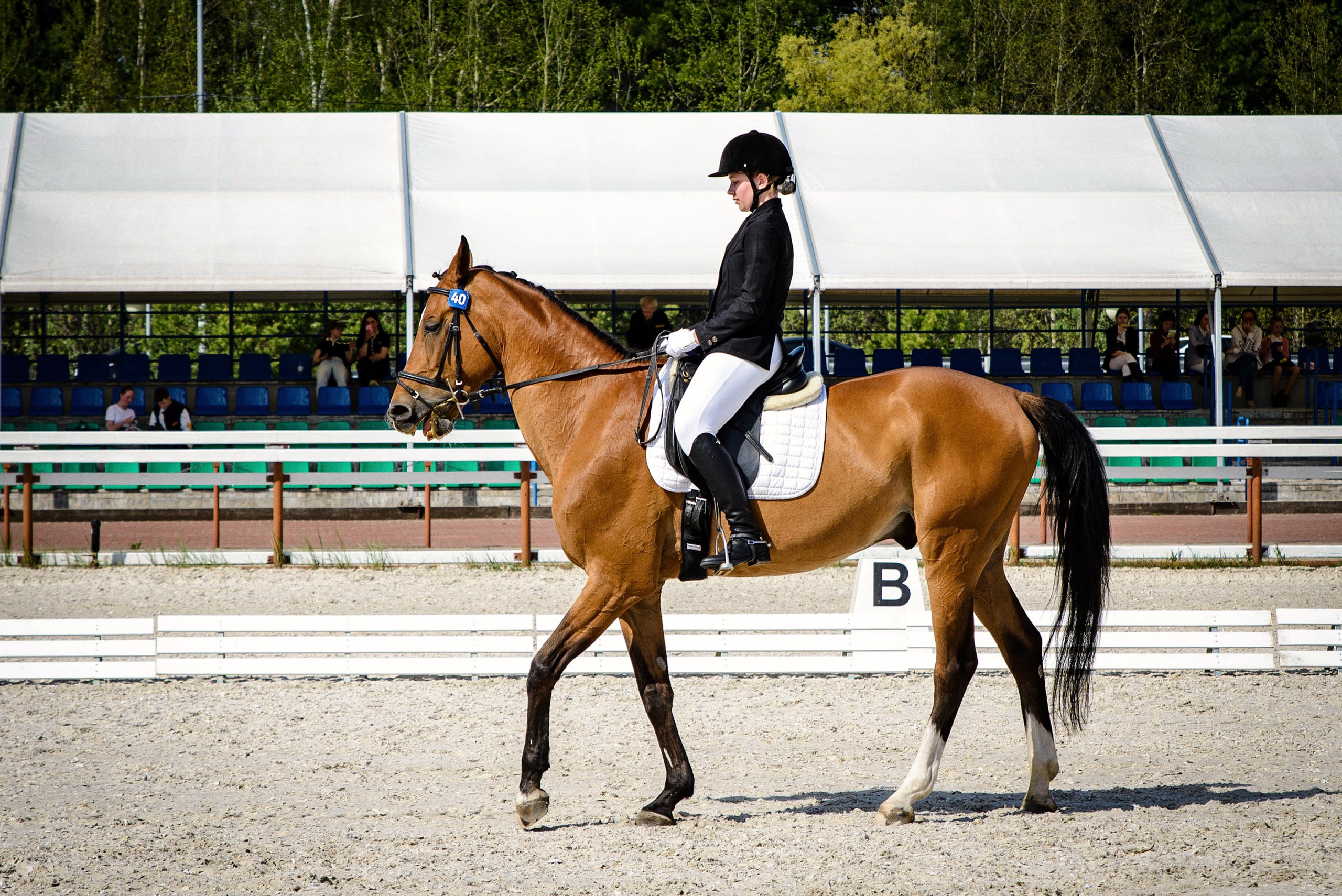Конкур. Всероссийские соревнования. Фотограф в Ханты-Мансийске Евгений Жуланов