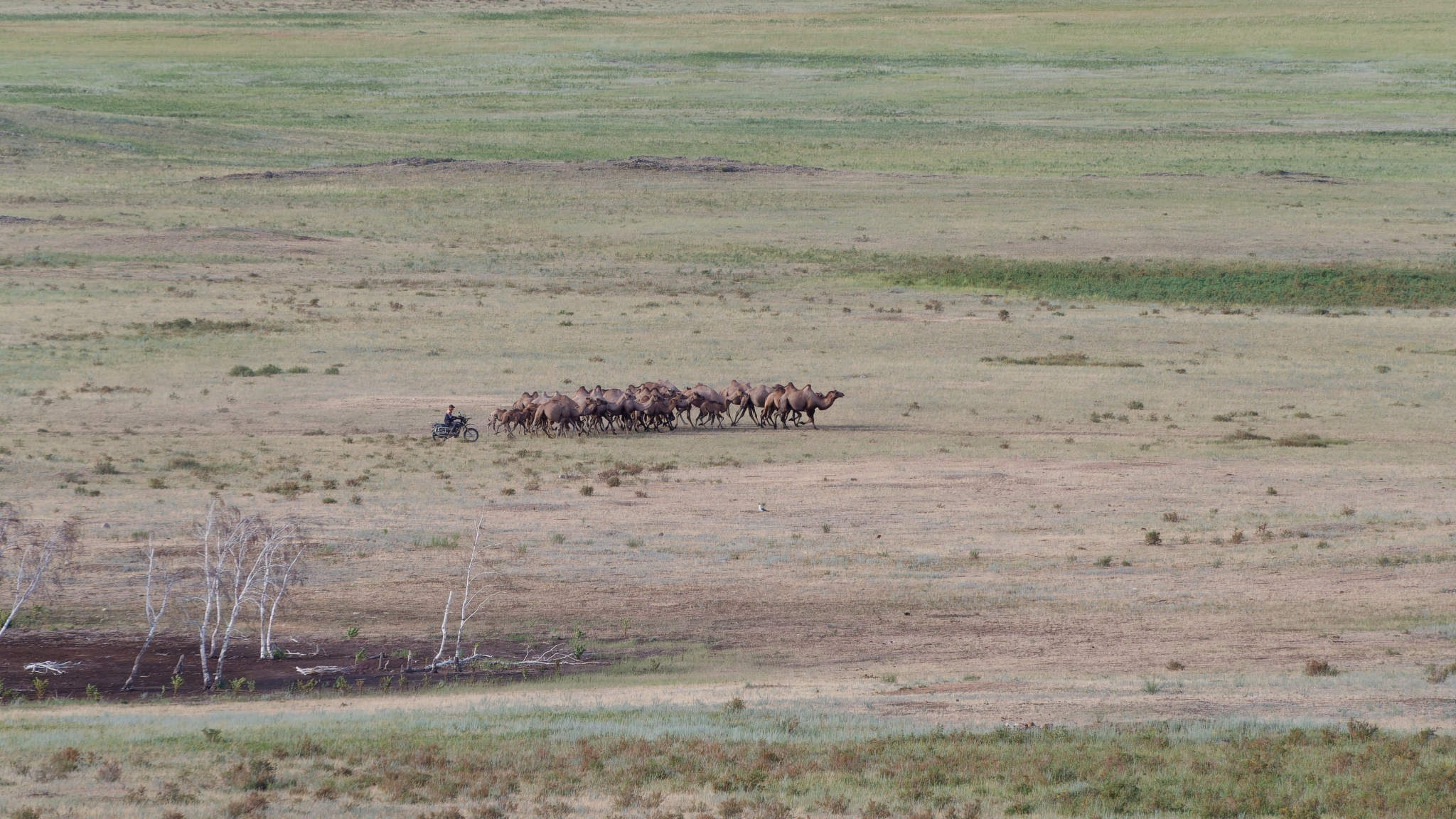 Боровое 2023 (из архива). Избранные фотографии