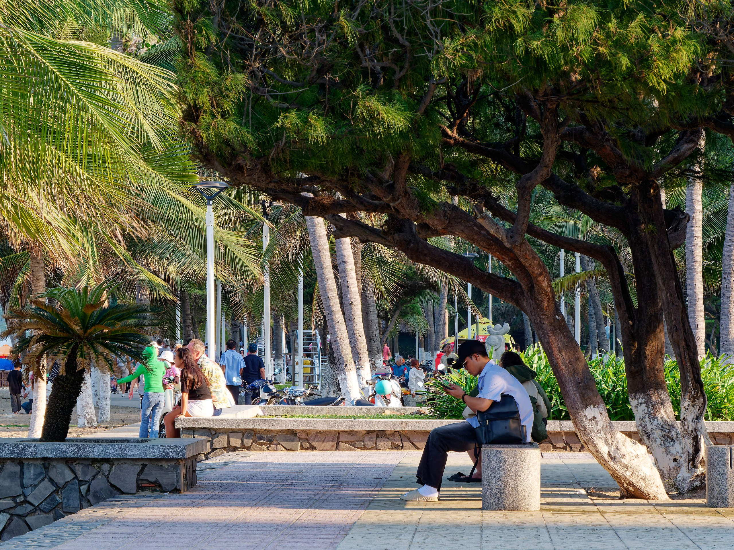 Нячанг 2025 (1). Избранные фотографии