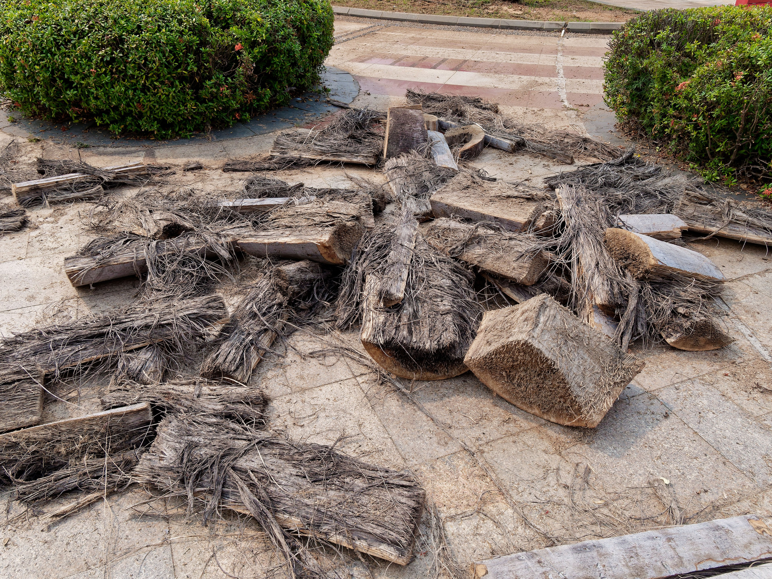 Хайнань 2026, первые впечатления. Фотопрогулки по Миру