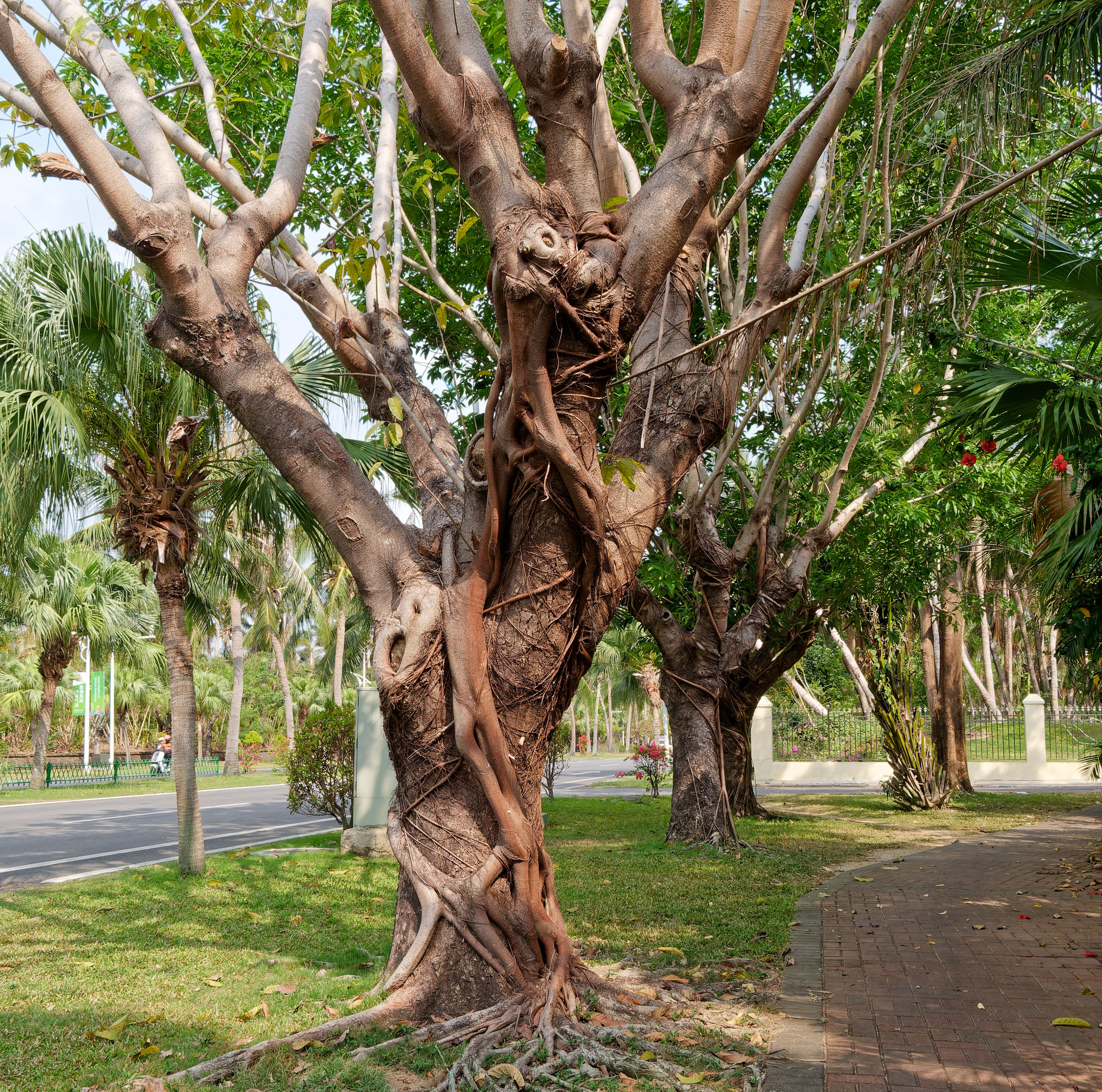 Хайнань 2026, улицы Ялунвань и Саньи. Фотопрогулки по Миру