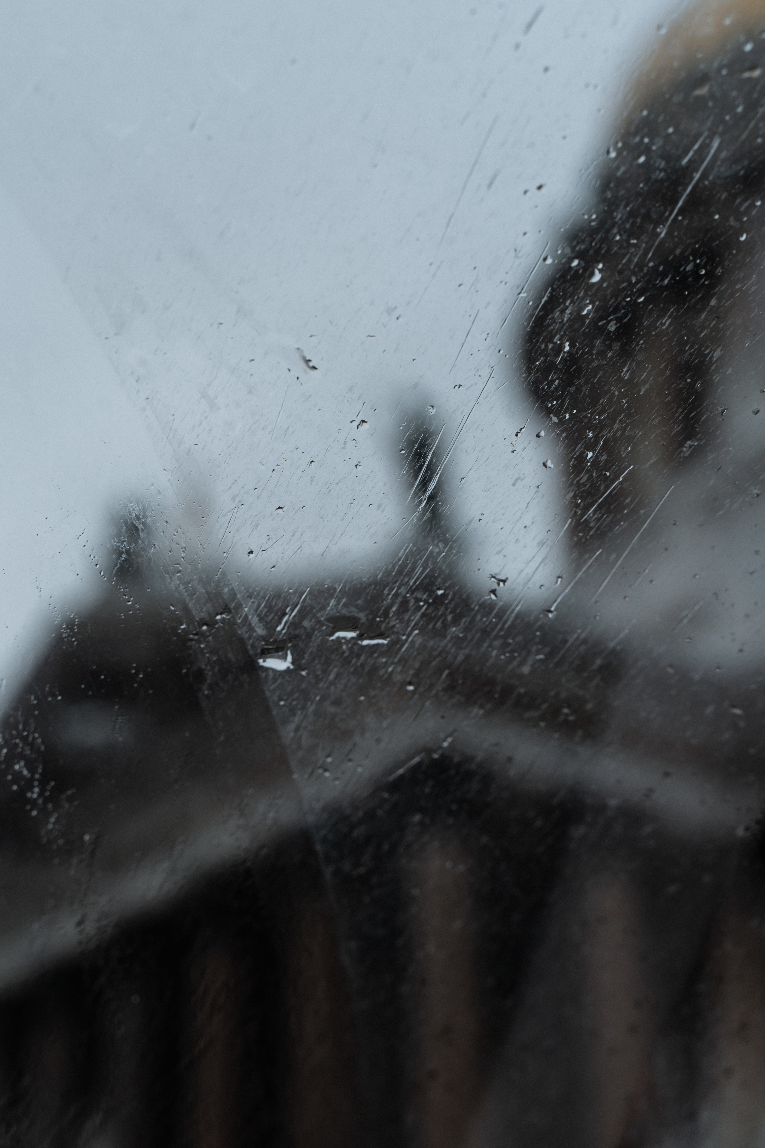 Бабочку лучше красную. Свадебный фотограф Москва Светлана Анисимова