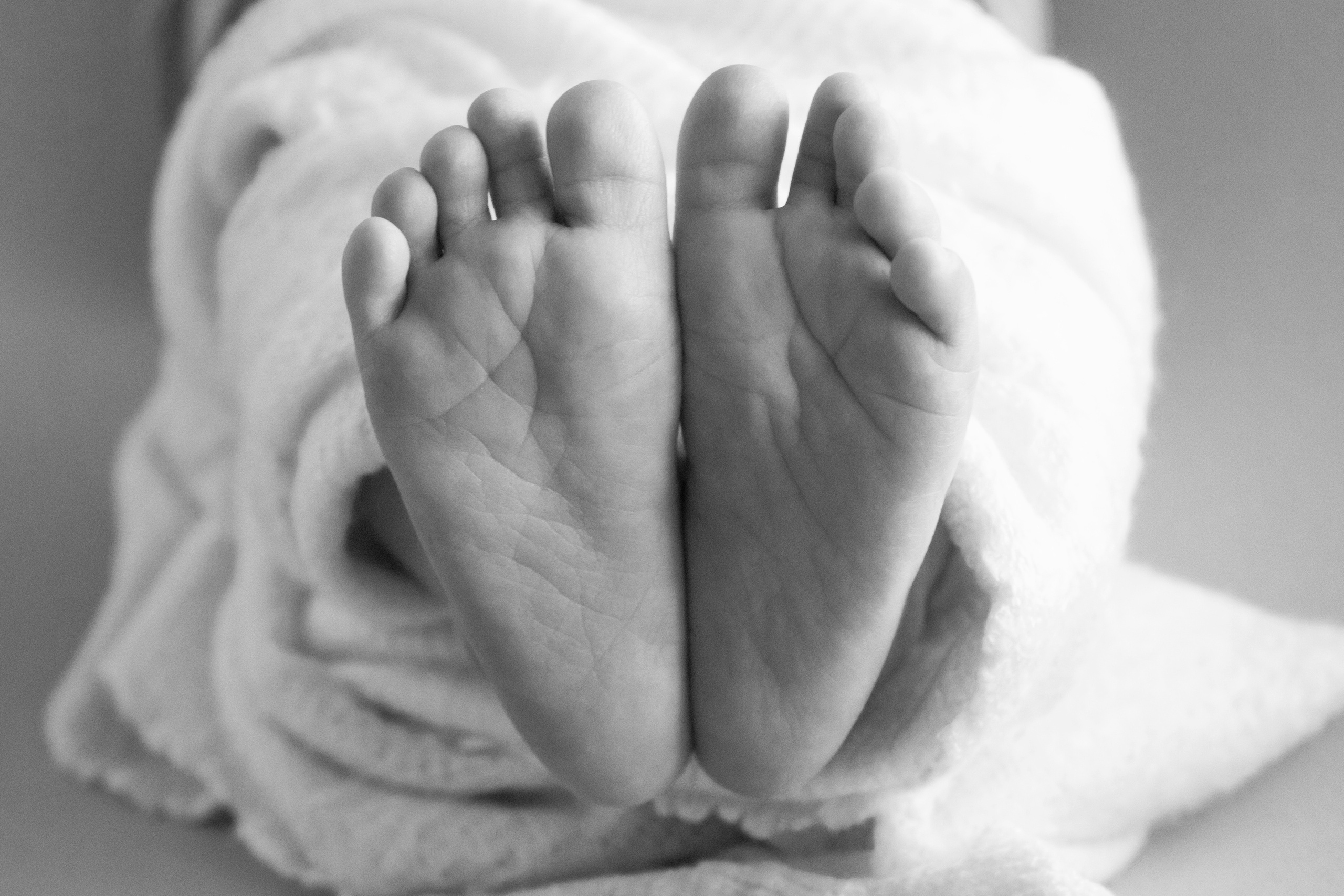 Новорожденные. Фотограф новорожденных Ольга Жижина