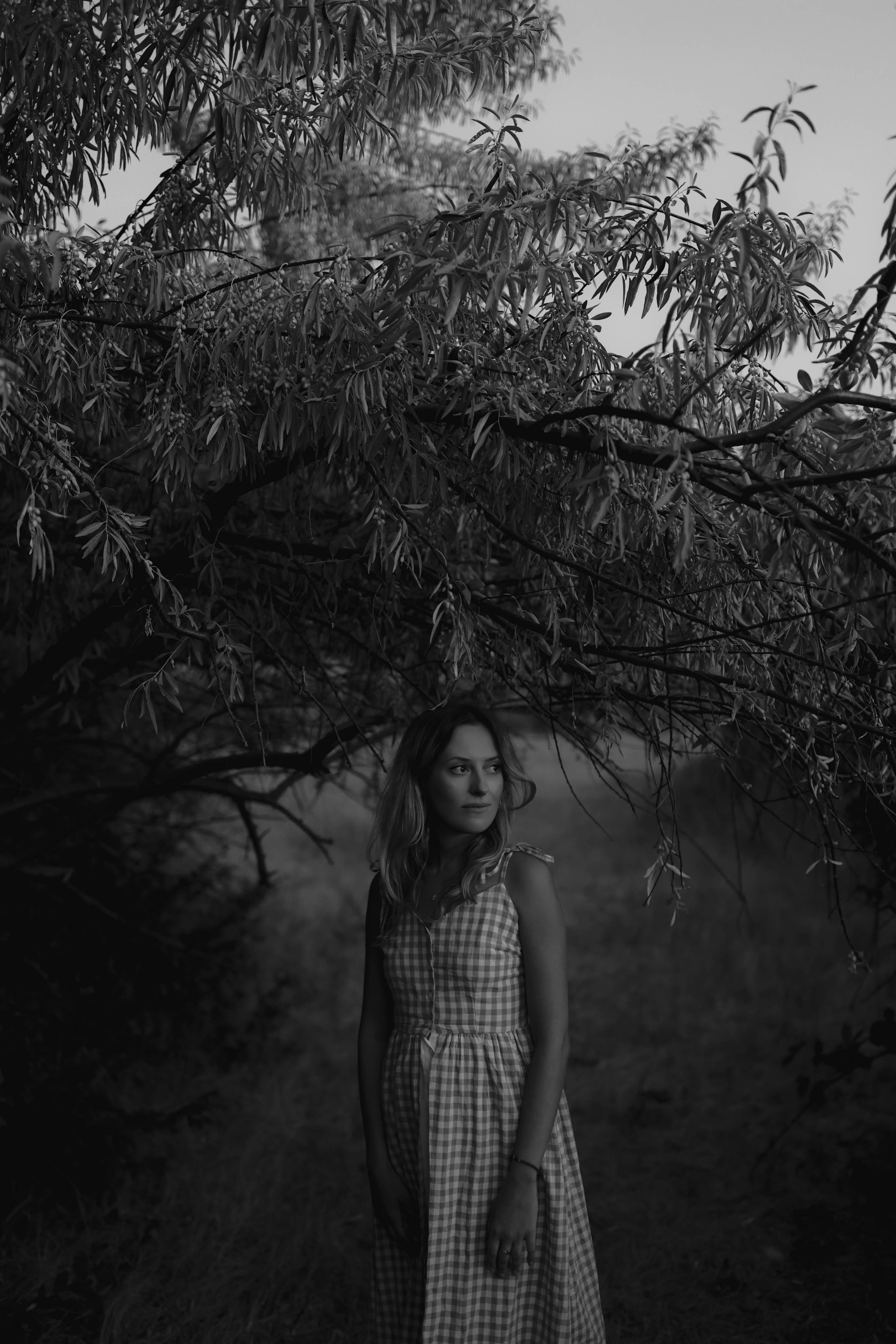 Один день из жизни Пуси. Свадебный и семейный фотограф Судак, Крым, Симферополь, Феодосия, Коктебель и по России