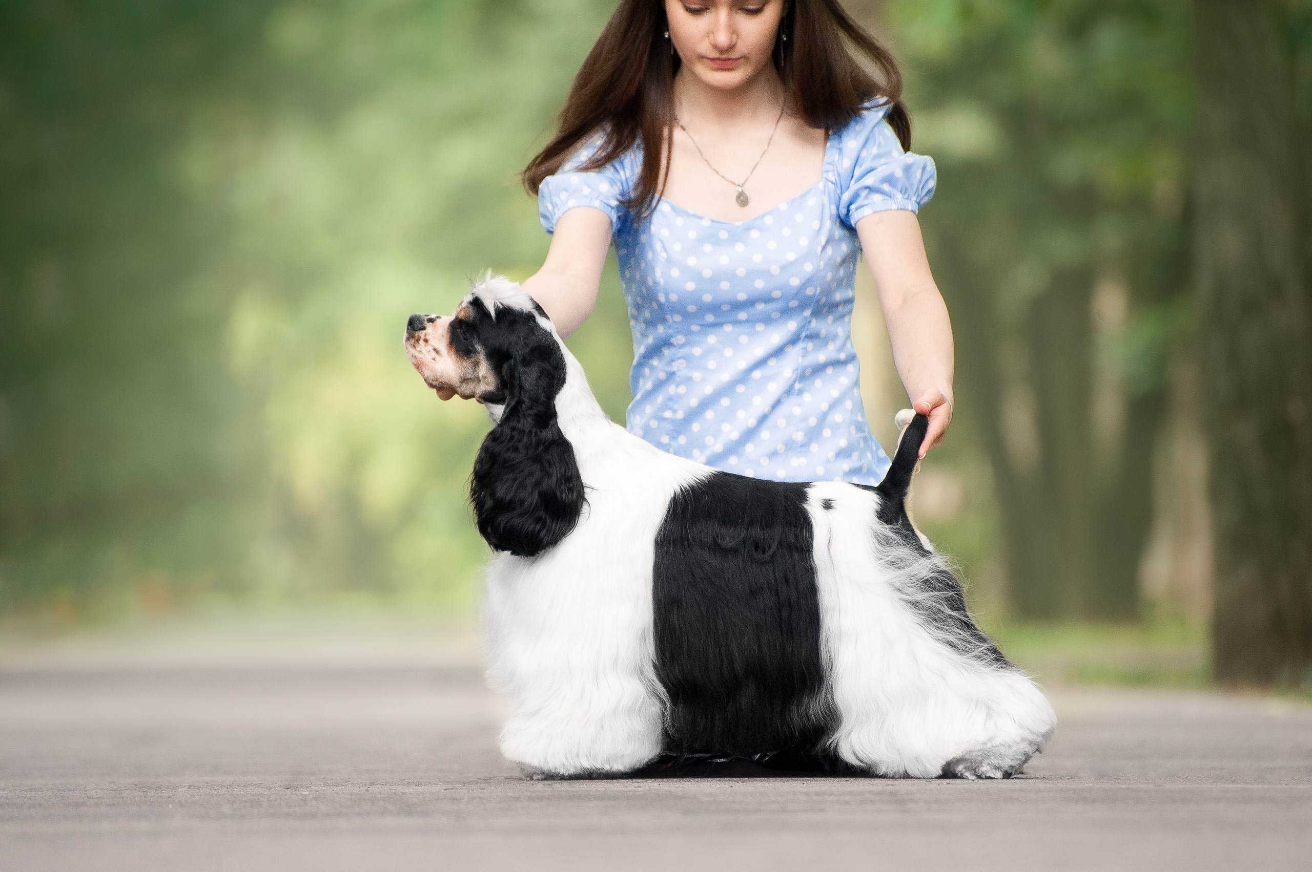 Анималистика. Фотограф Аверич Полина|Санкт-Петербург