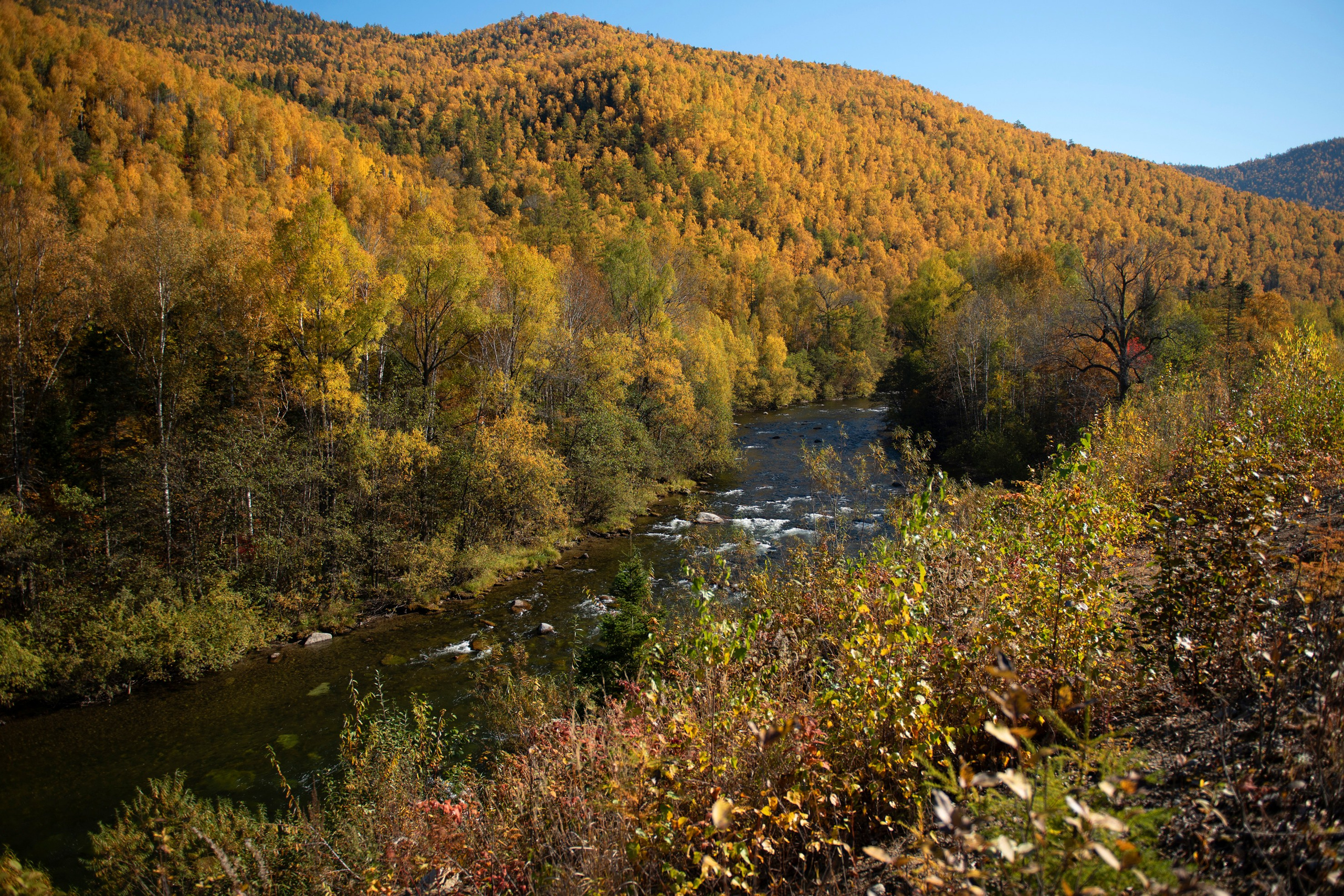 Природа Хабаровского края. Команда фотографов Кристины Ивановой