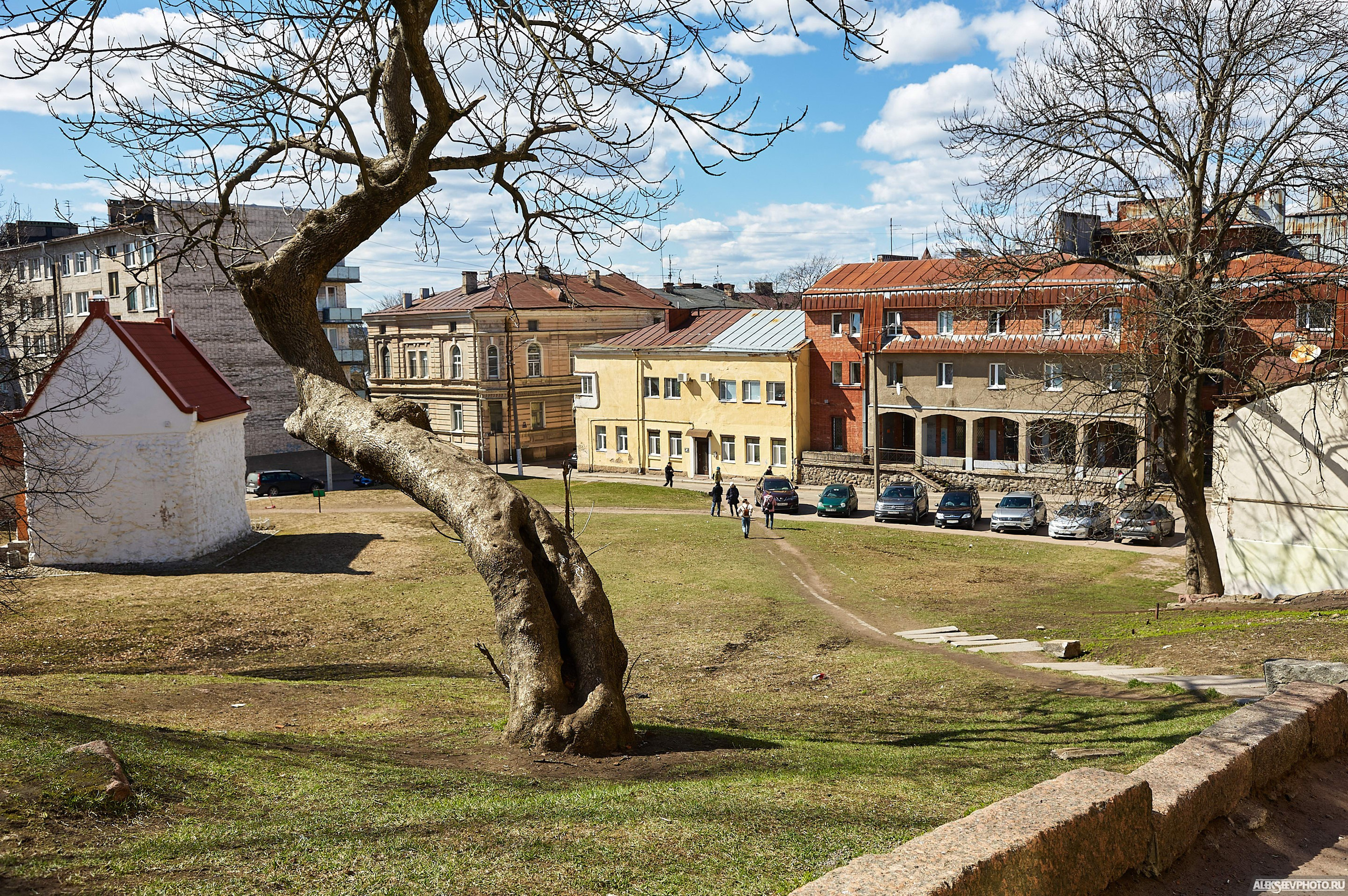2021.05. Фотограф Алексей Алексеев