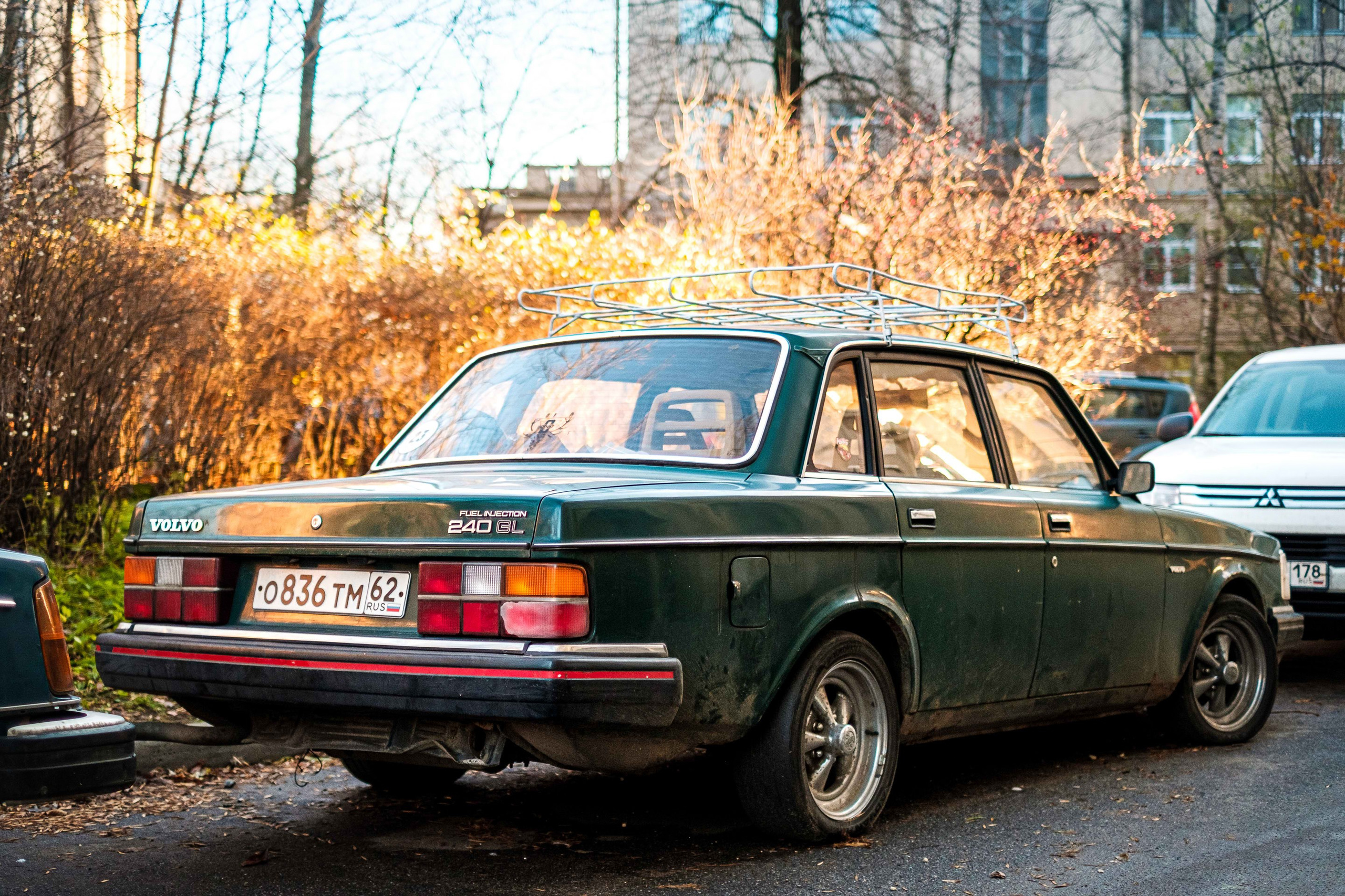 2021.11. Фотограф Алексей Алексеев