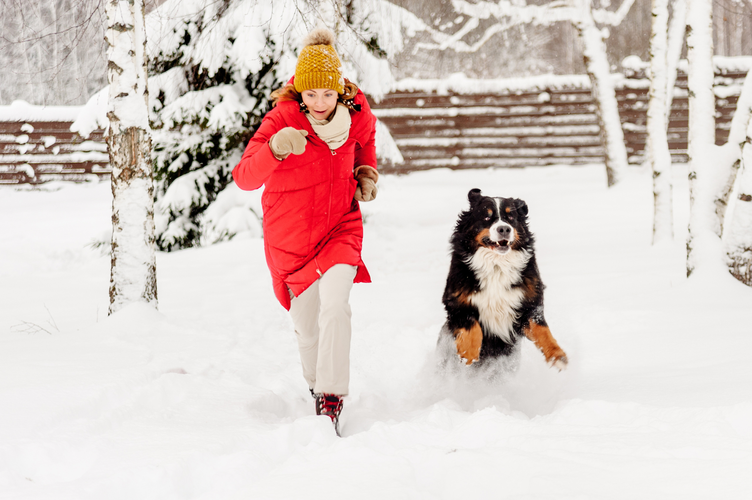 Зимняя семейная фотосессия повышает иммунитет!. Семейный фотограф в Москве Елена Снегирева