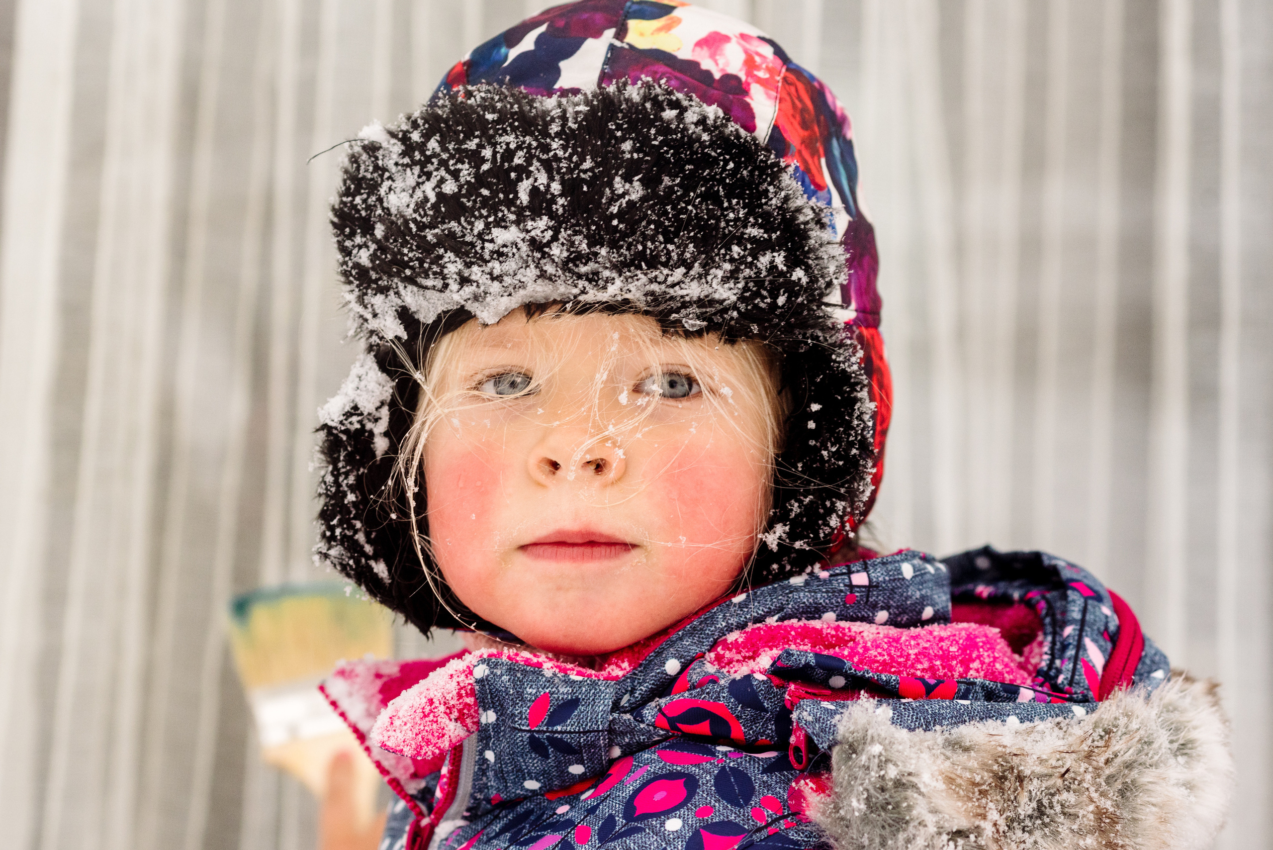 Зимняя семейная фотосессия повышает иммунитет!. Семейный фотограф в Москве Елена Снегирева
