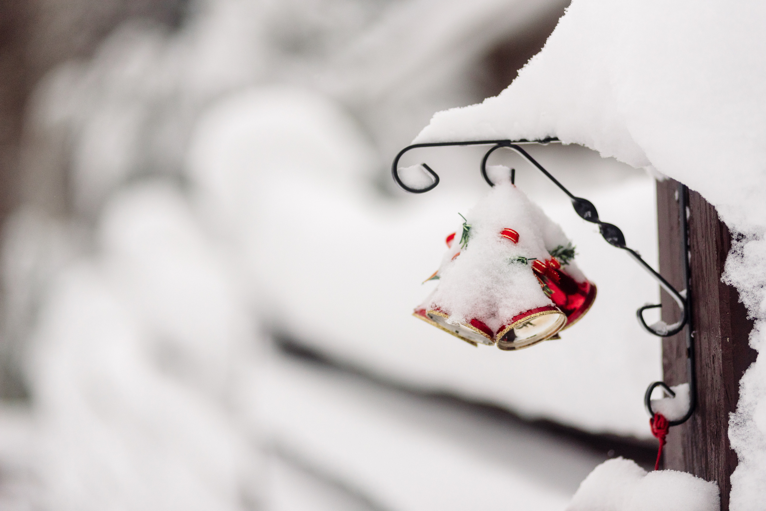 Зимняя семейная фотосессия повышает иммунитет!. Семейный фотограф в Москве Елена Снегирева