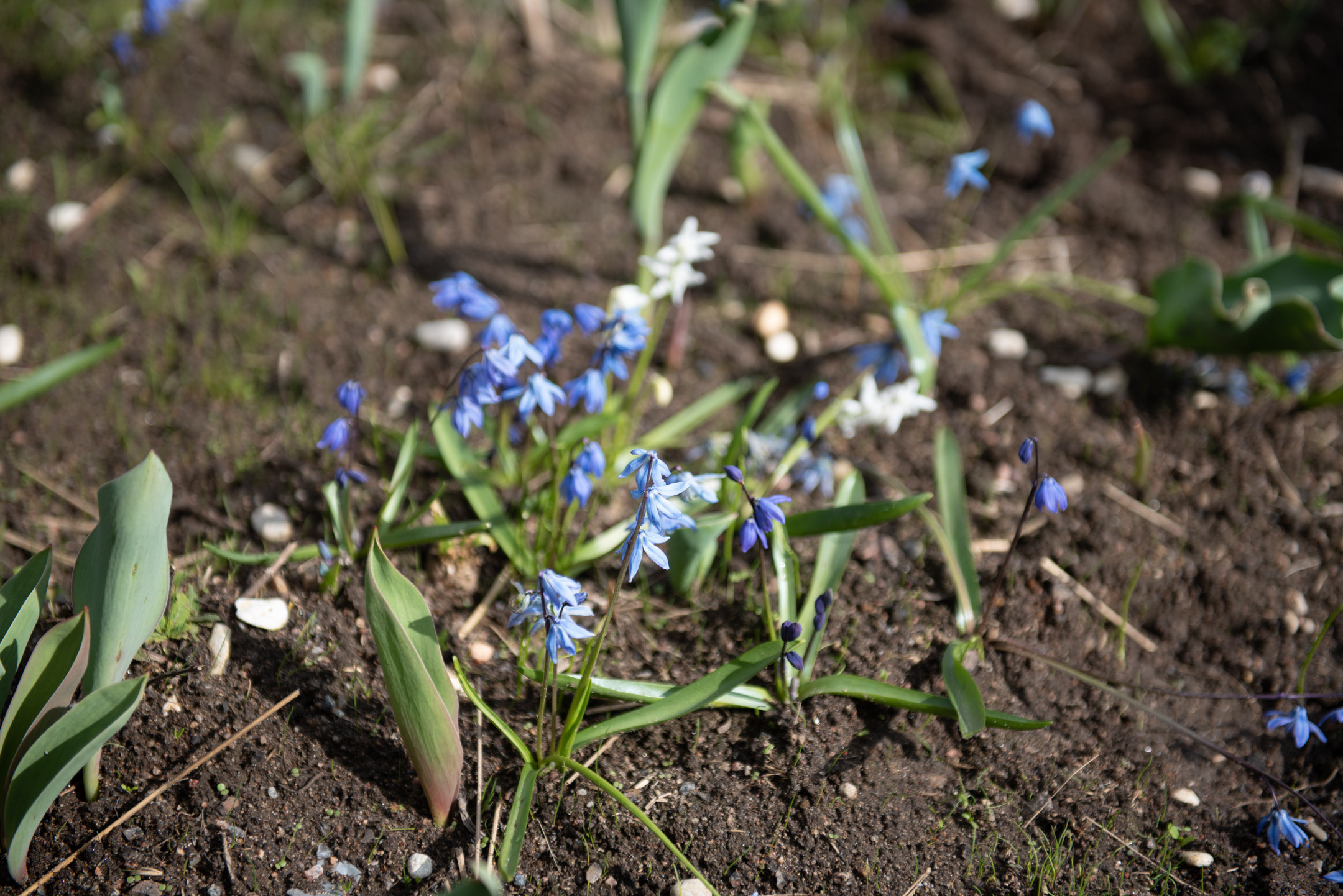 О.Новая Голландия. Портретный и архитектурный фотограф в Москве и Санкт-Петербурге
