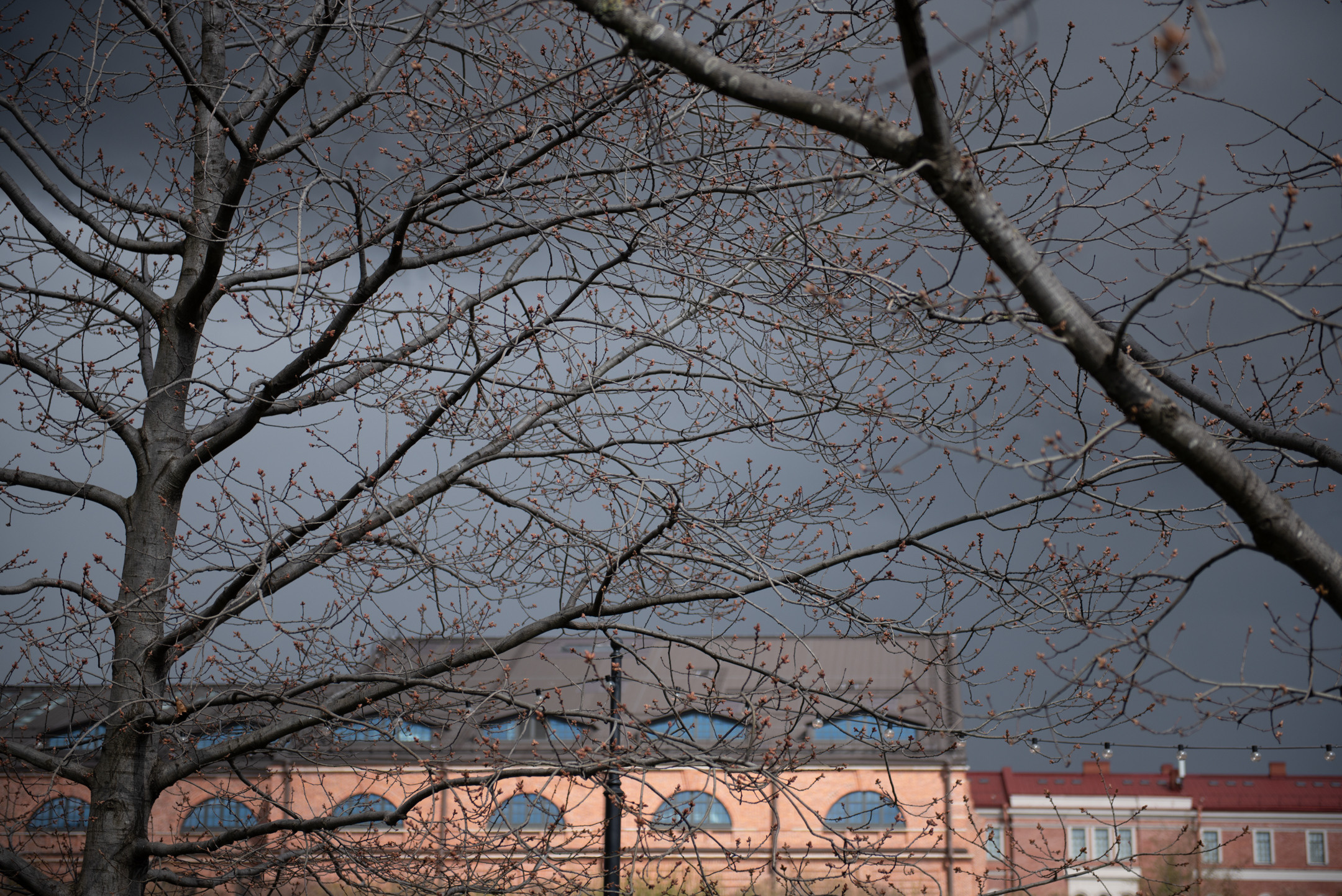 О.Новая Голландия. Портретный и архитектурный фотограф в Москве и Санкт-Петербурге